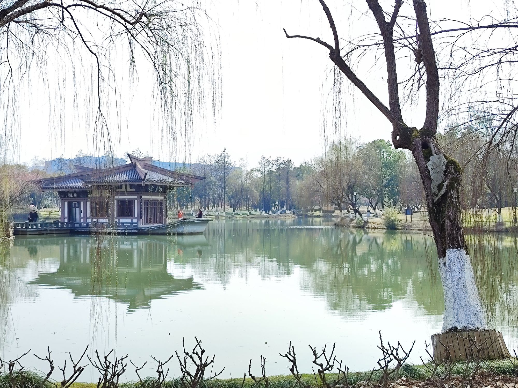 东吴文化公园旅行图片 1