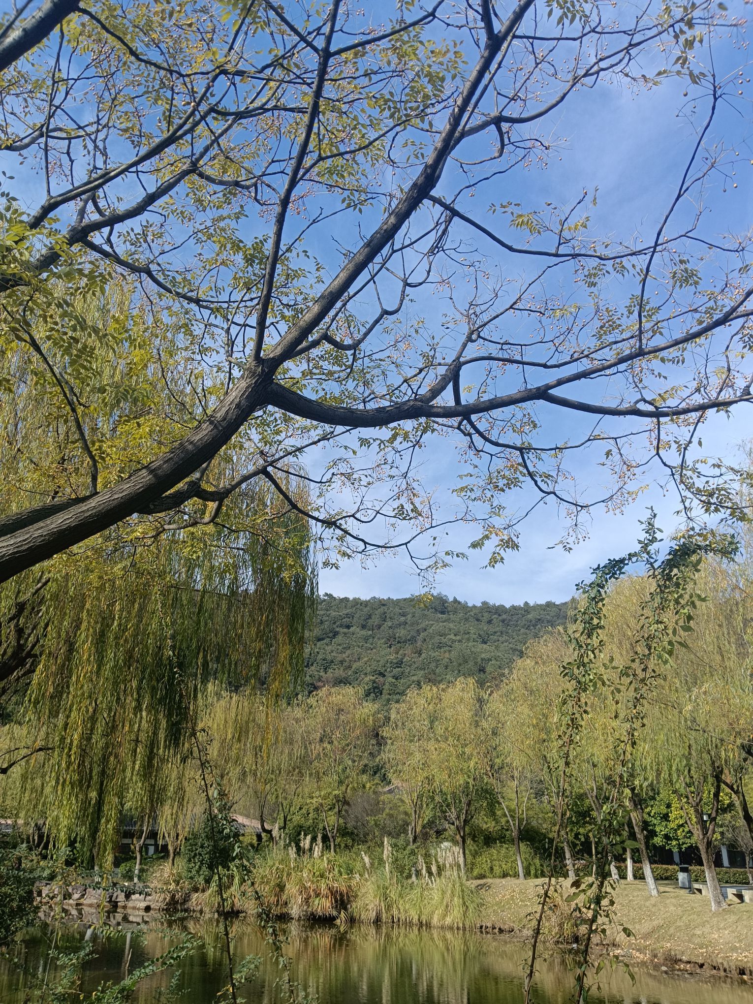 东吴文化公园旅行图片 1