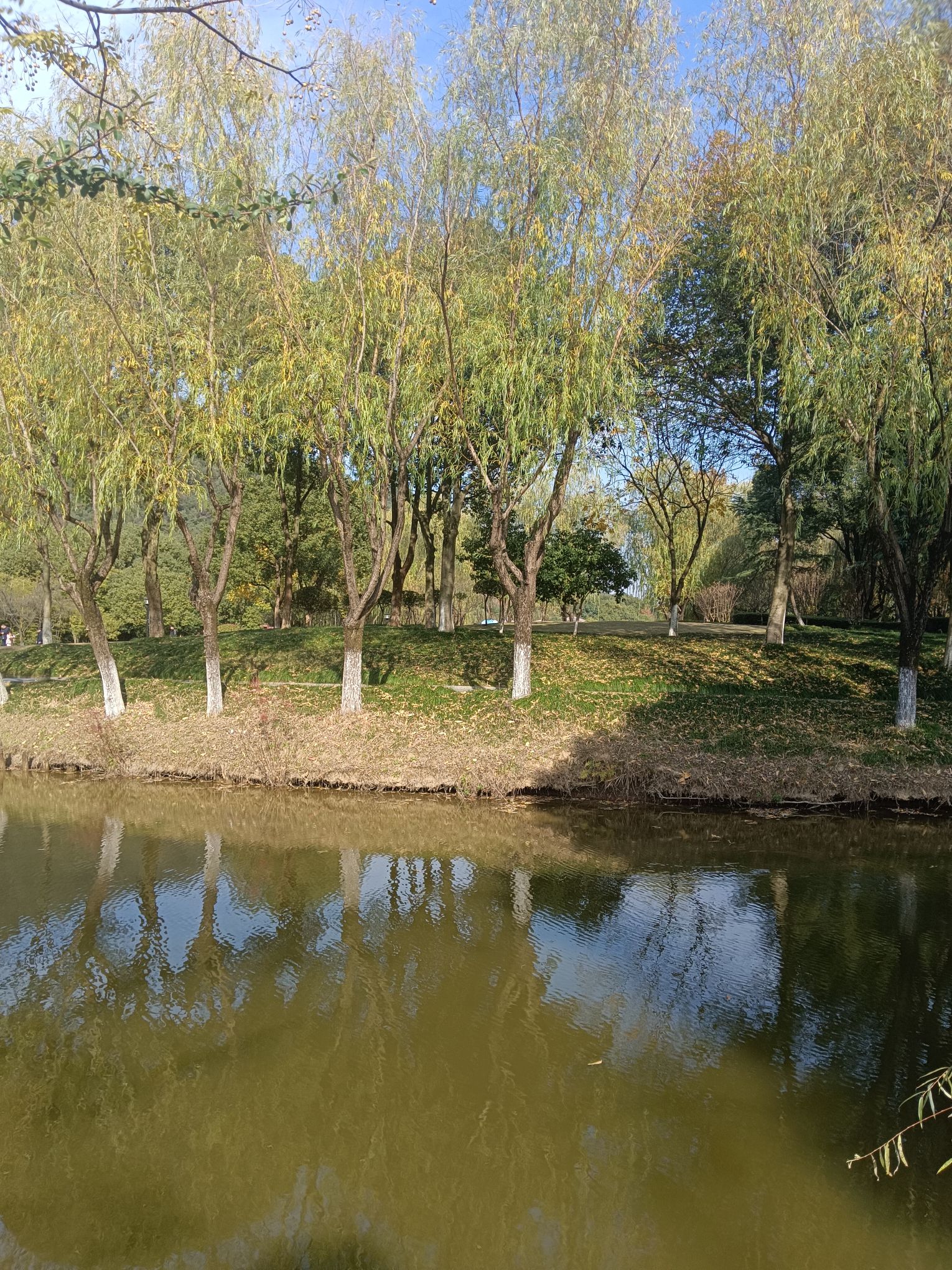 东吴文化公园旅行图片 3