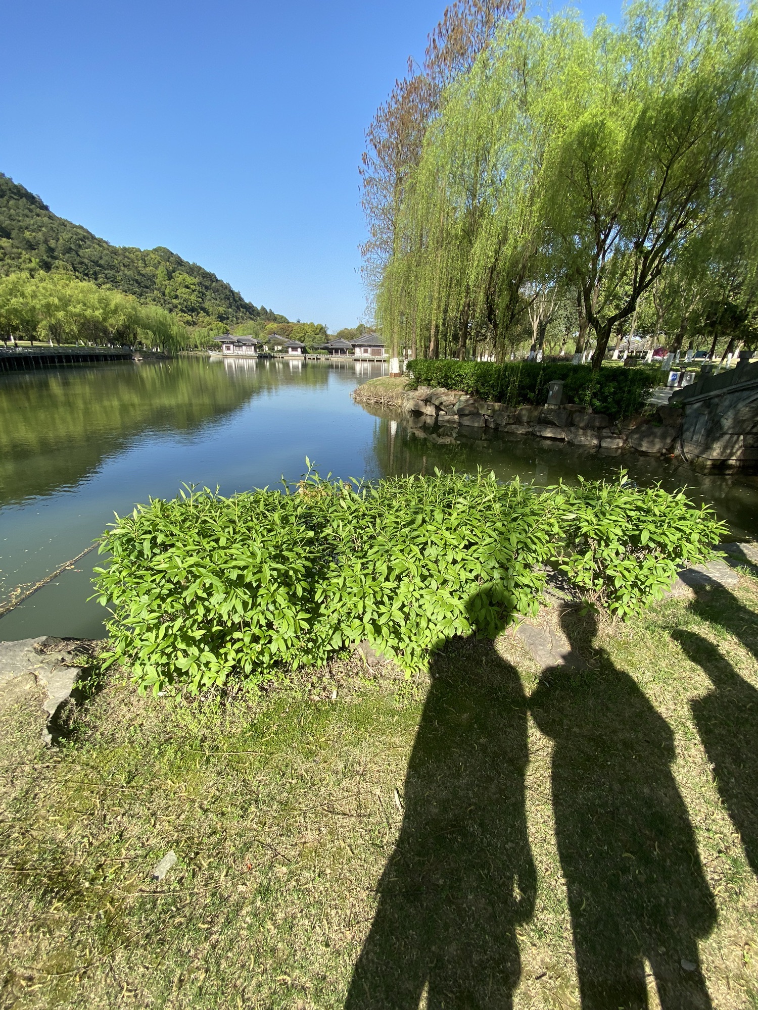 东吴文化公园旅行图片 2