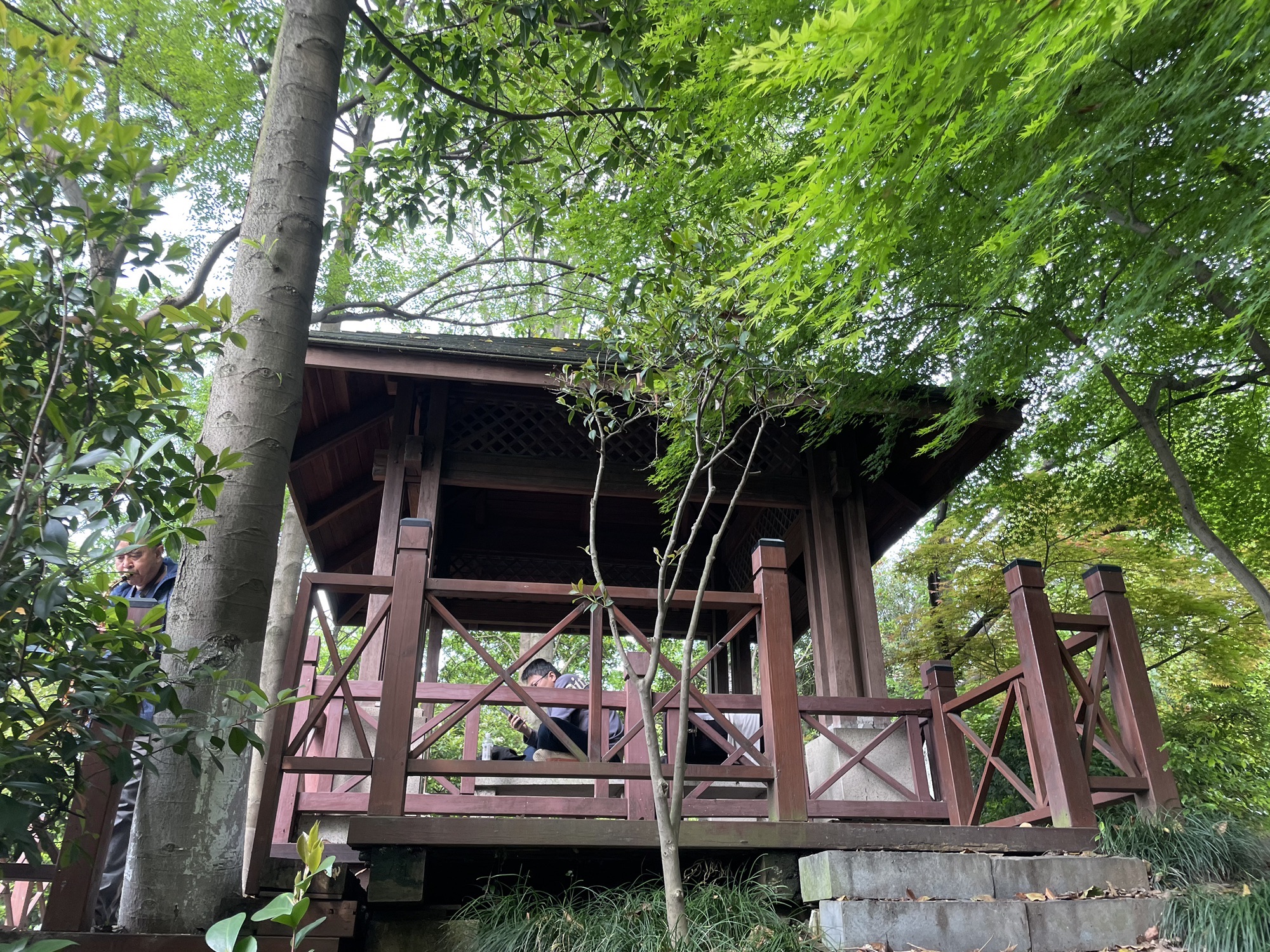 青年公园旅行图片 3