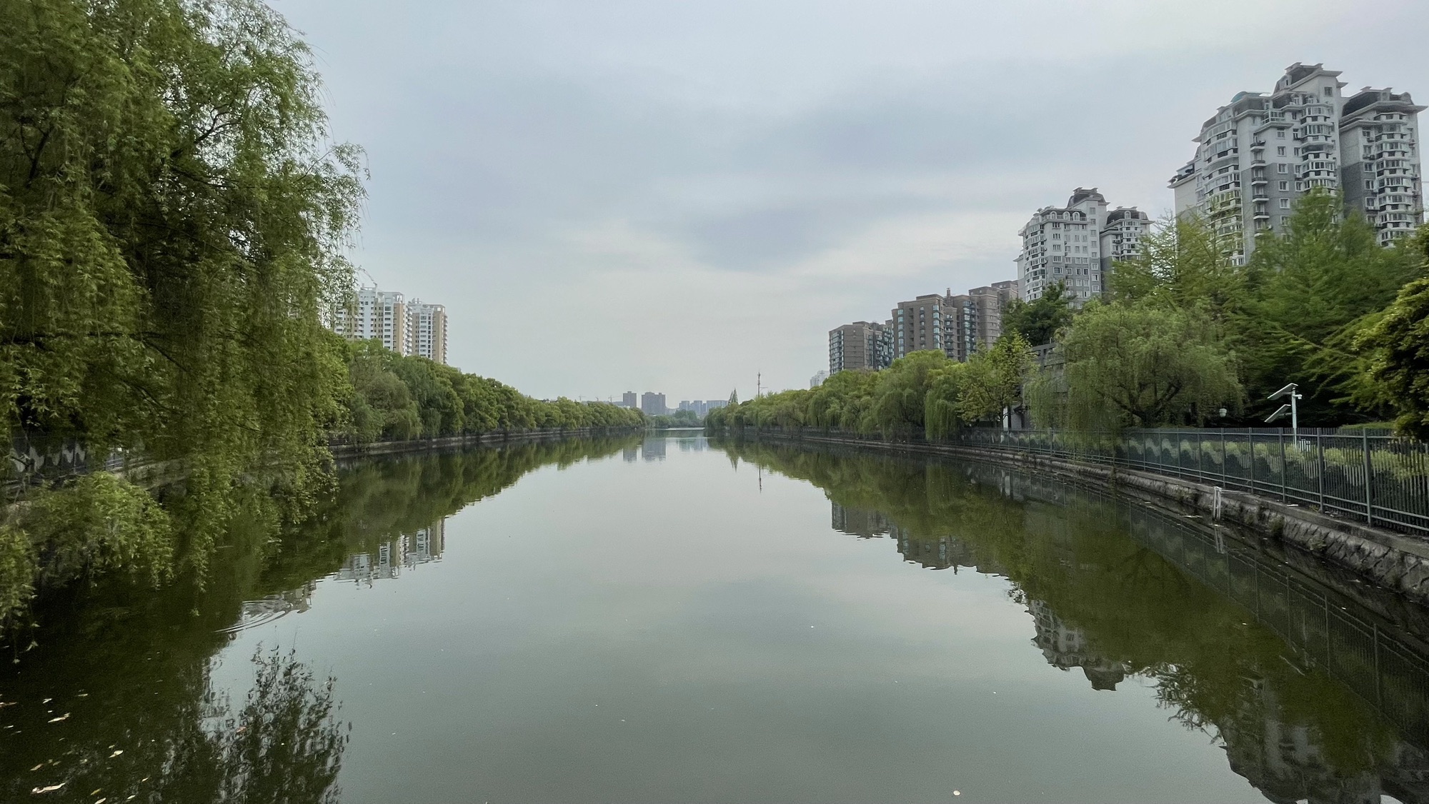 青年公园旅行图片 2