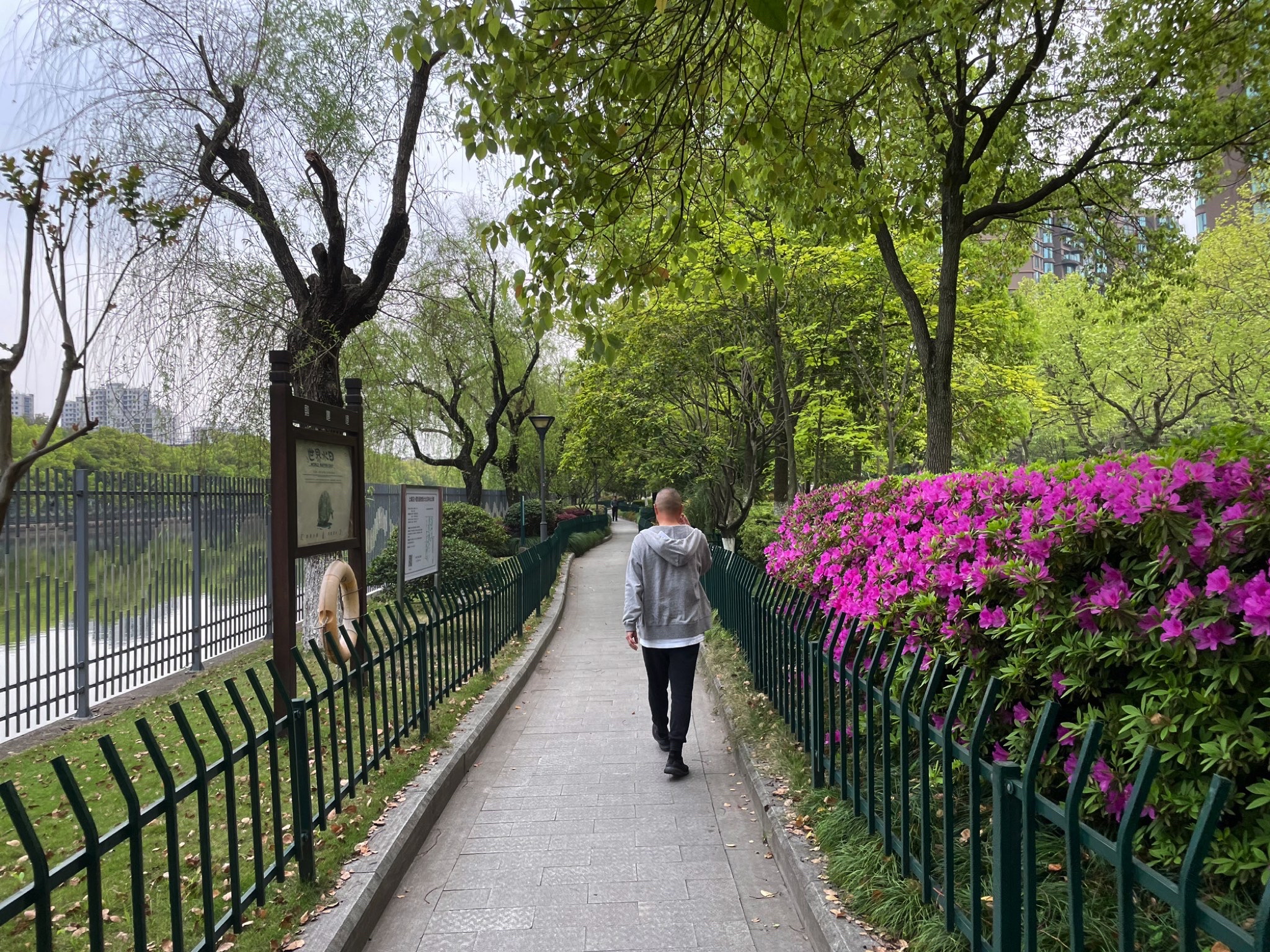 青年公园旅行图片 1