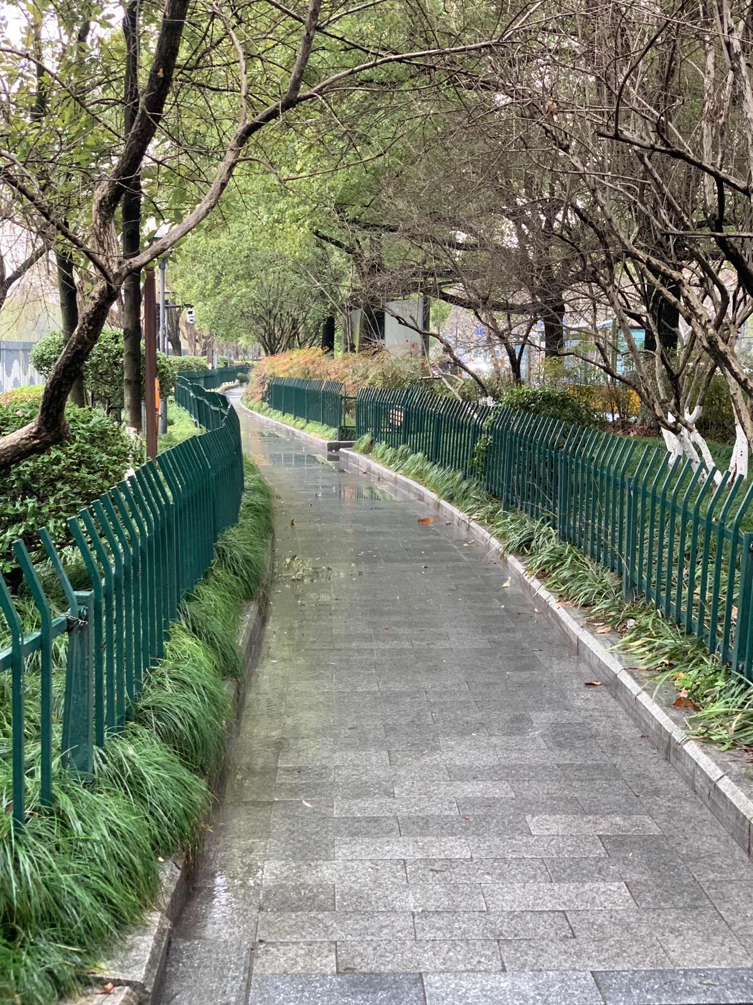青年公园旅行图片 1