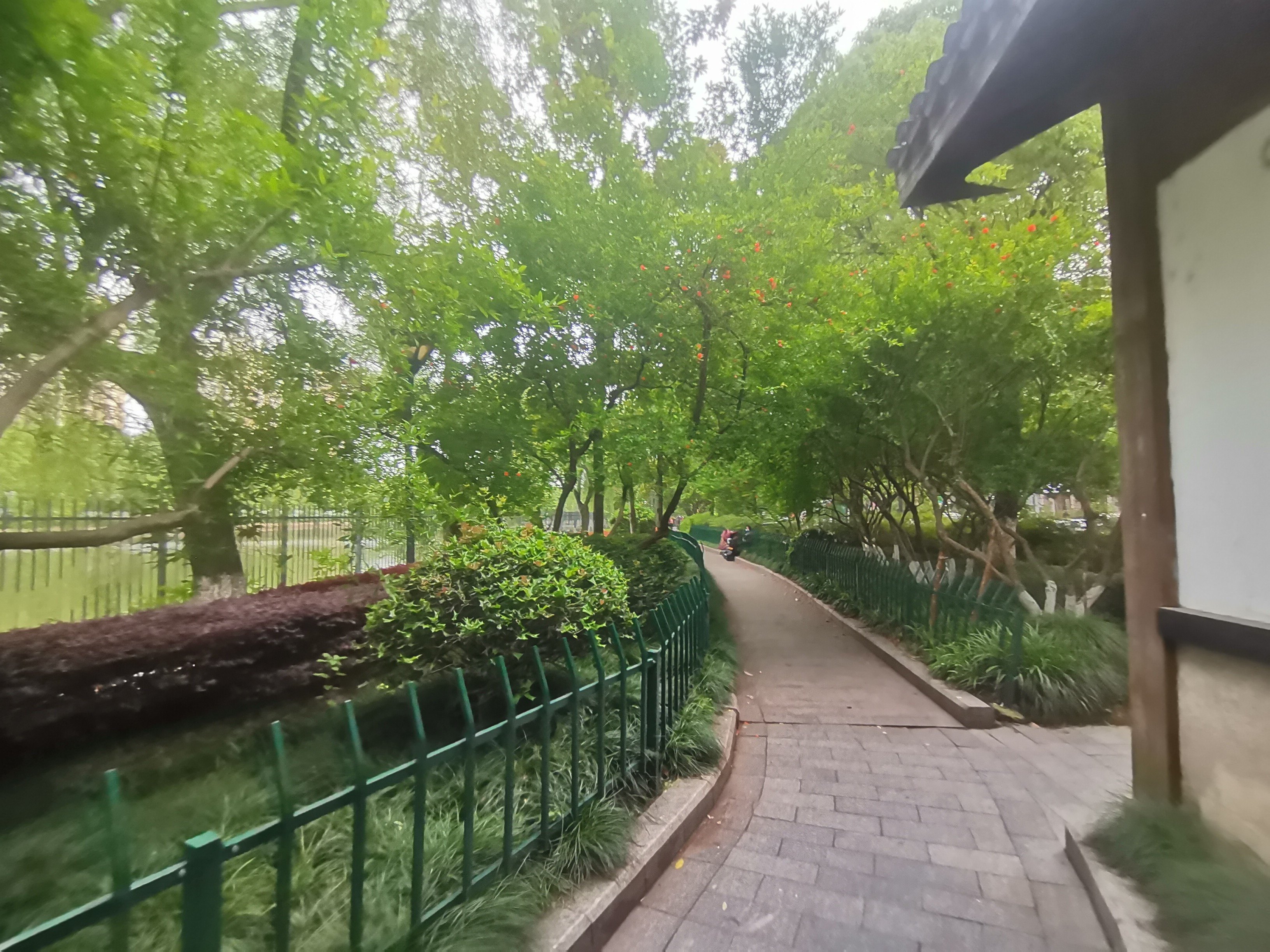 青年公园旅行图片 1