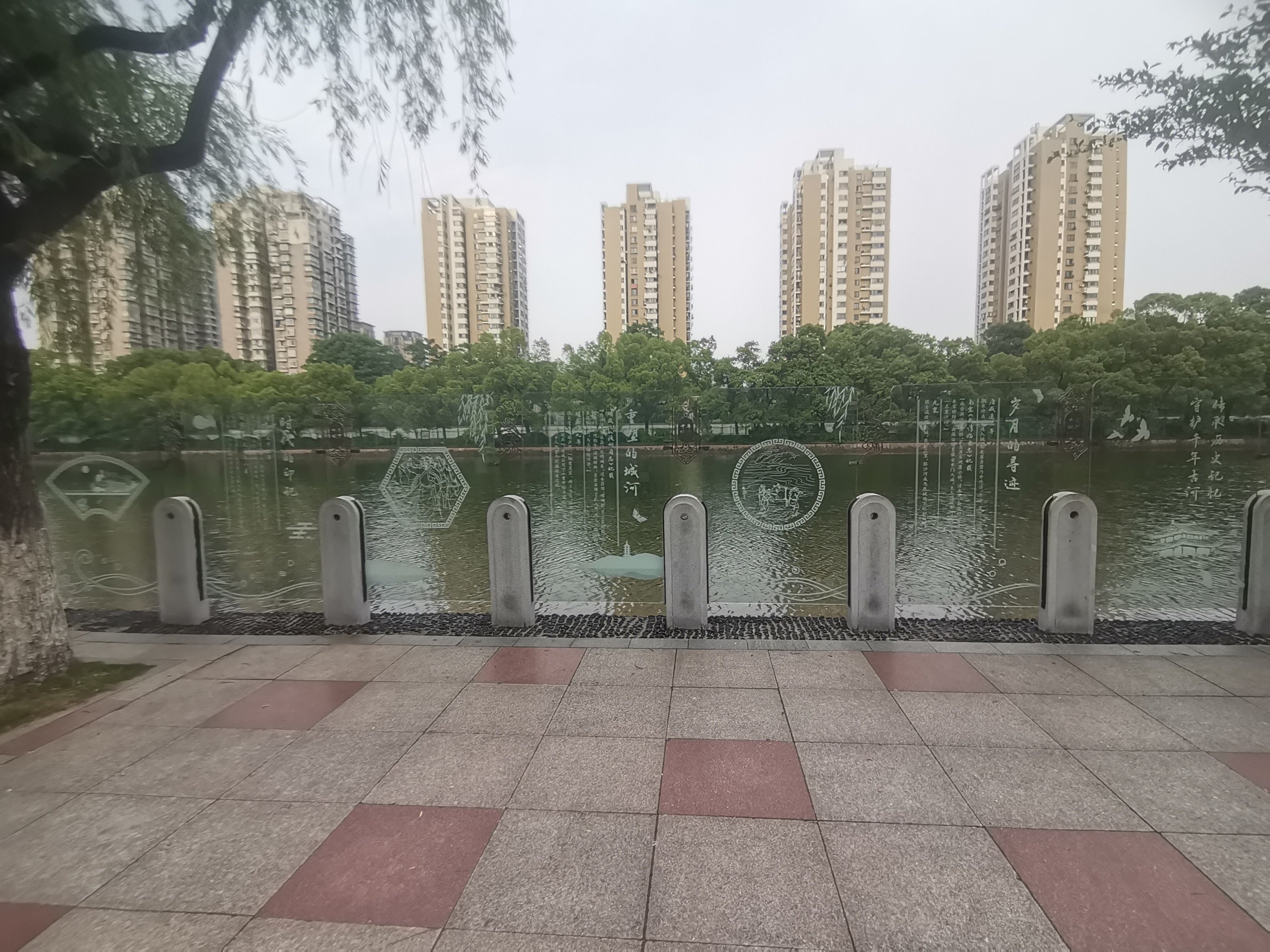 青年公园旅行图片 2