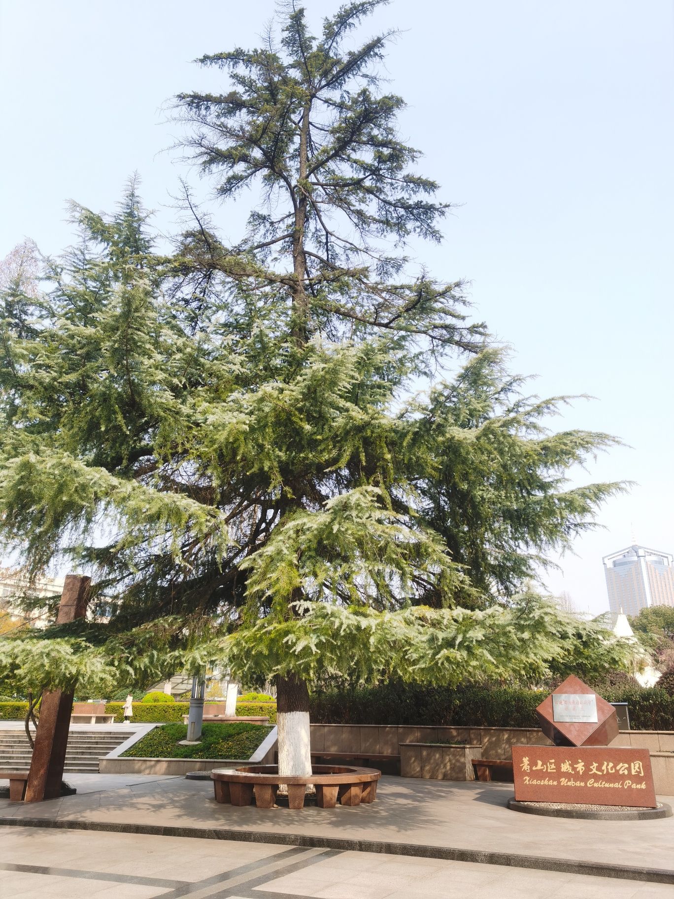 永兴公园旅行图片 2