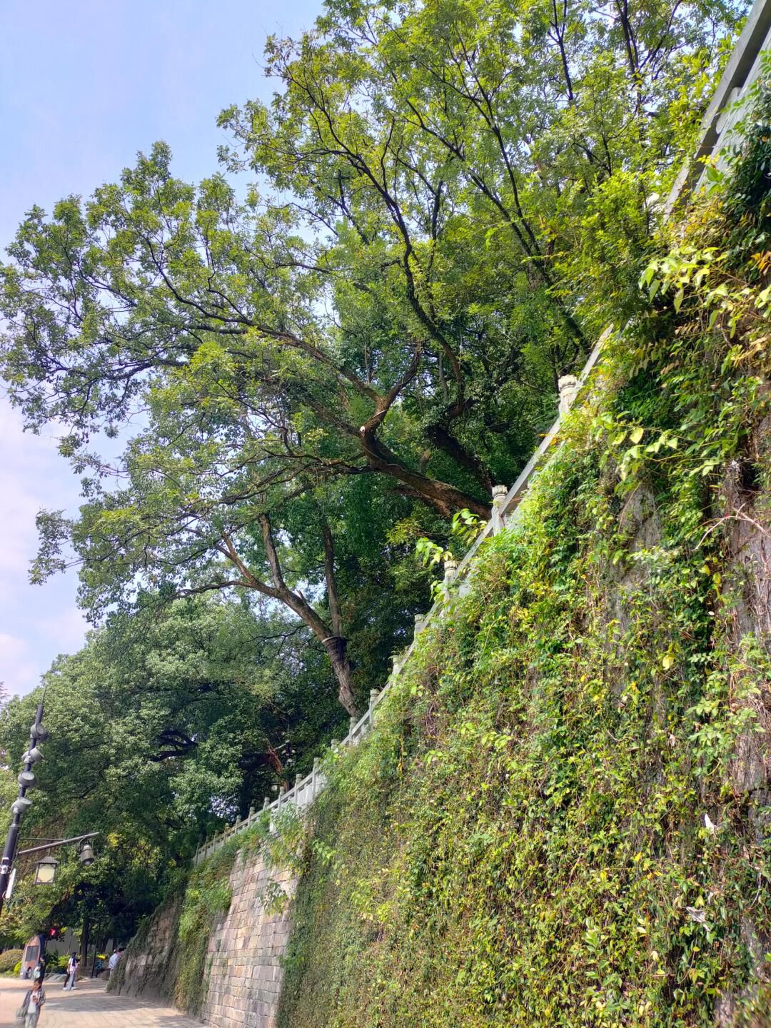 鹳山景区旅行图片 2