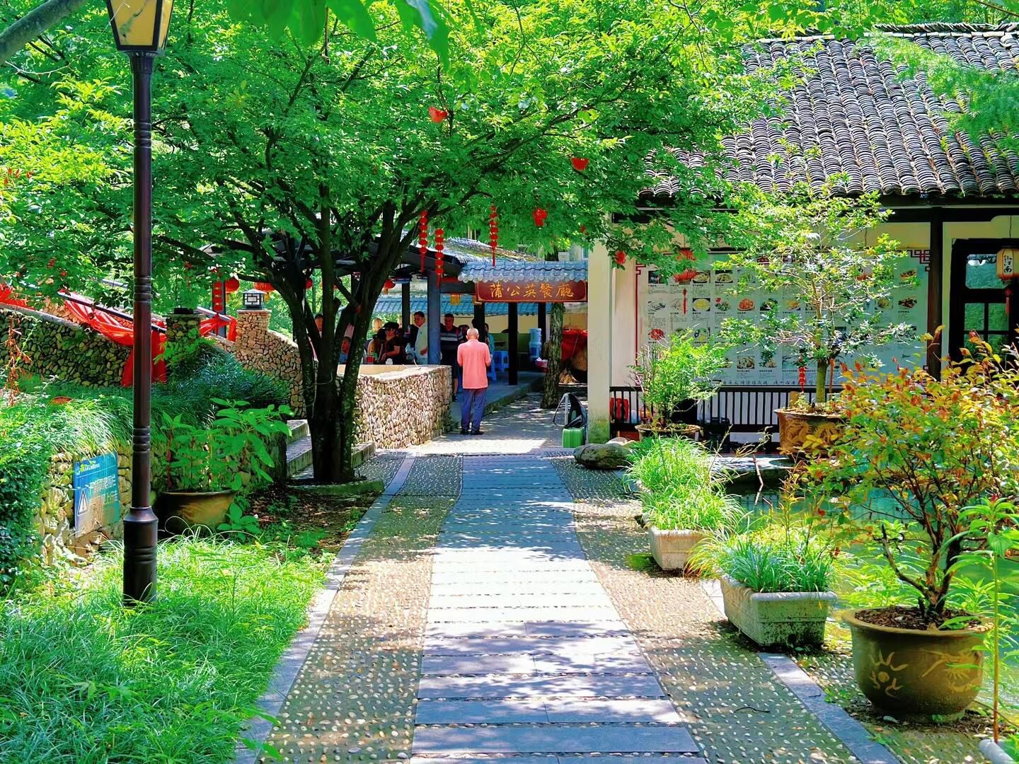 神龙川风景旅游度假区旅行图片 2