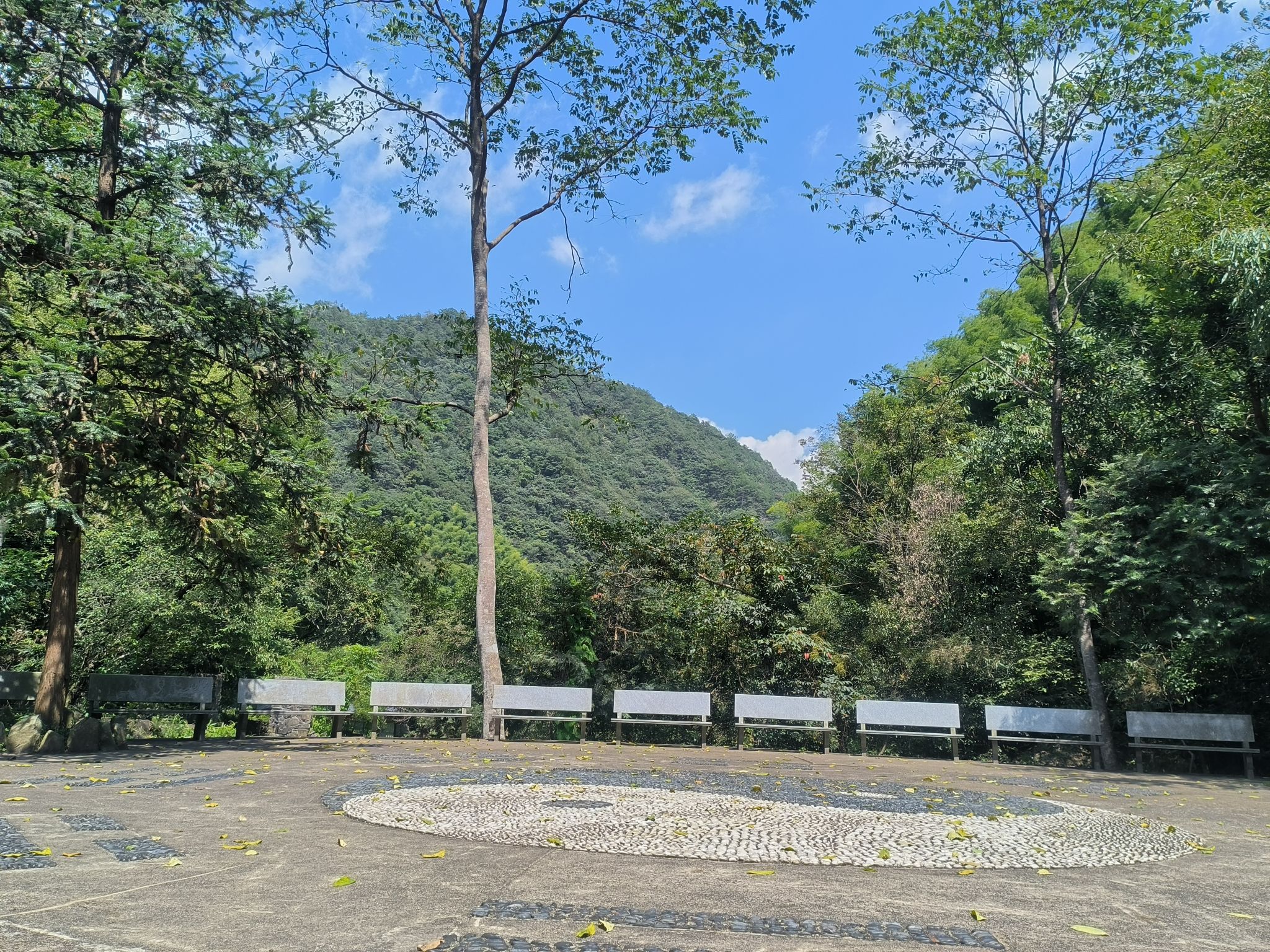神龙川风景旅游度假区旅行图片 1