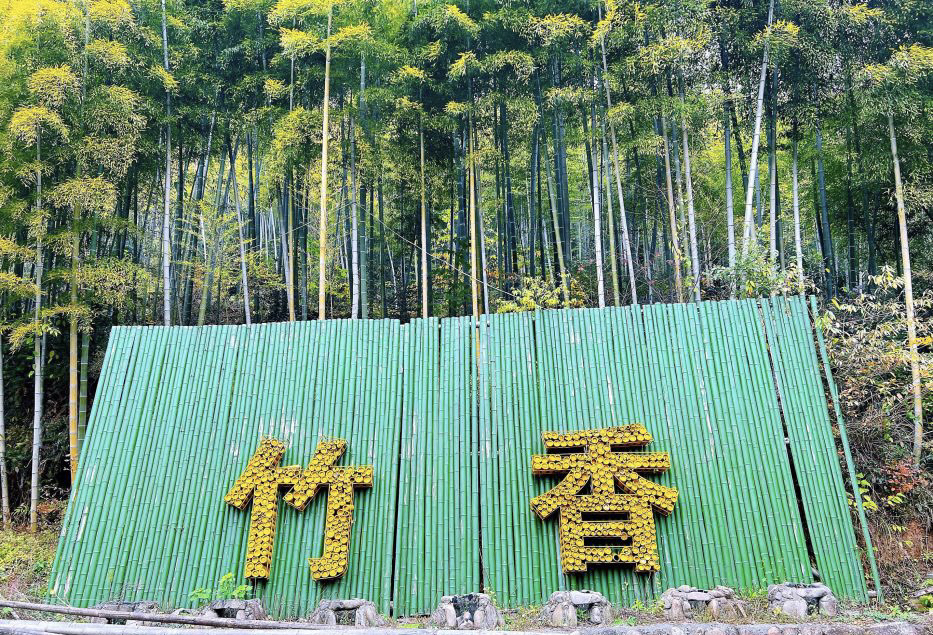 众神白水涧景区旅行图片 3