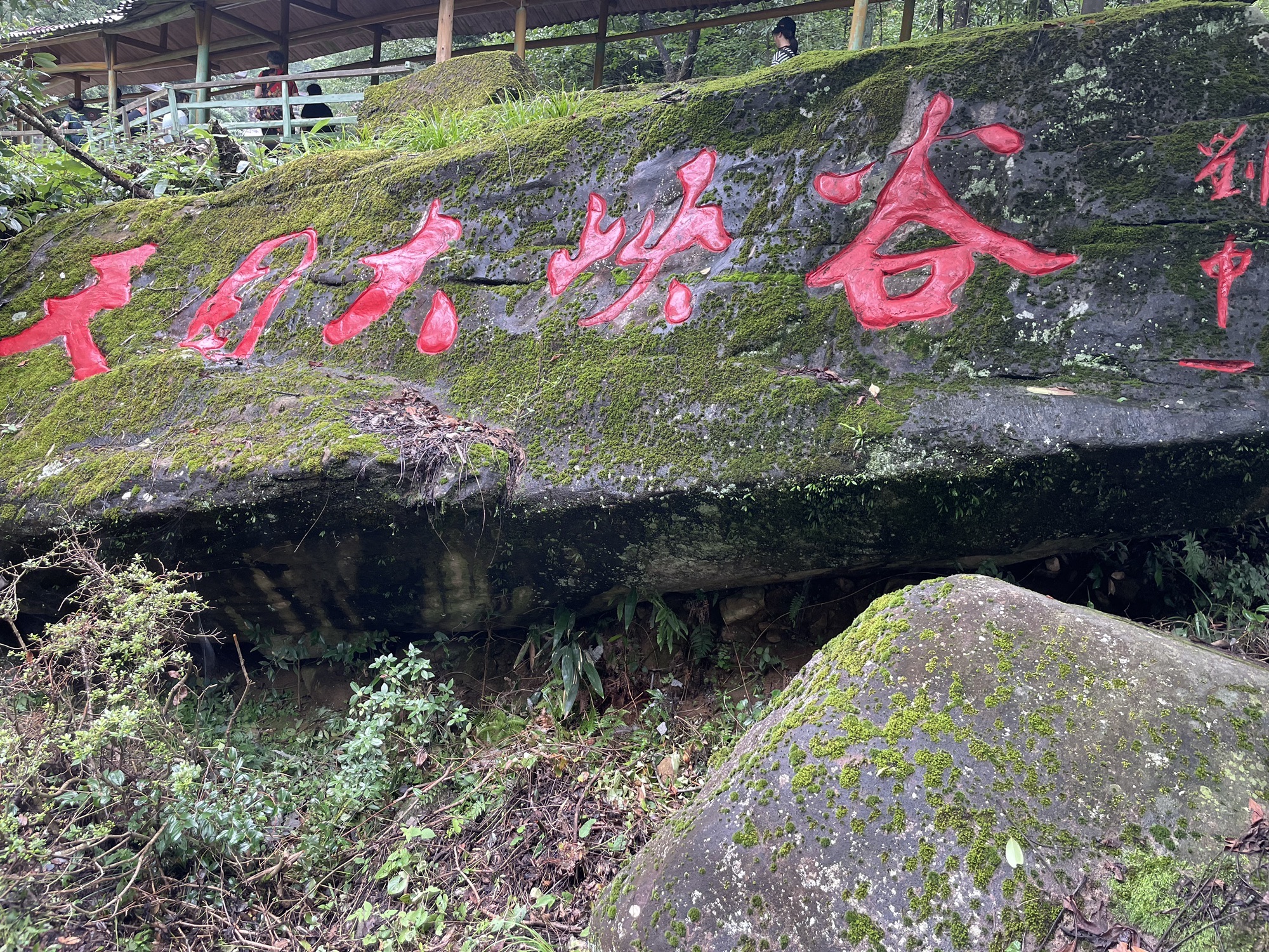 天目大峡谷旅行图片 1
