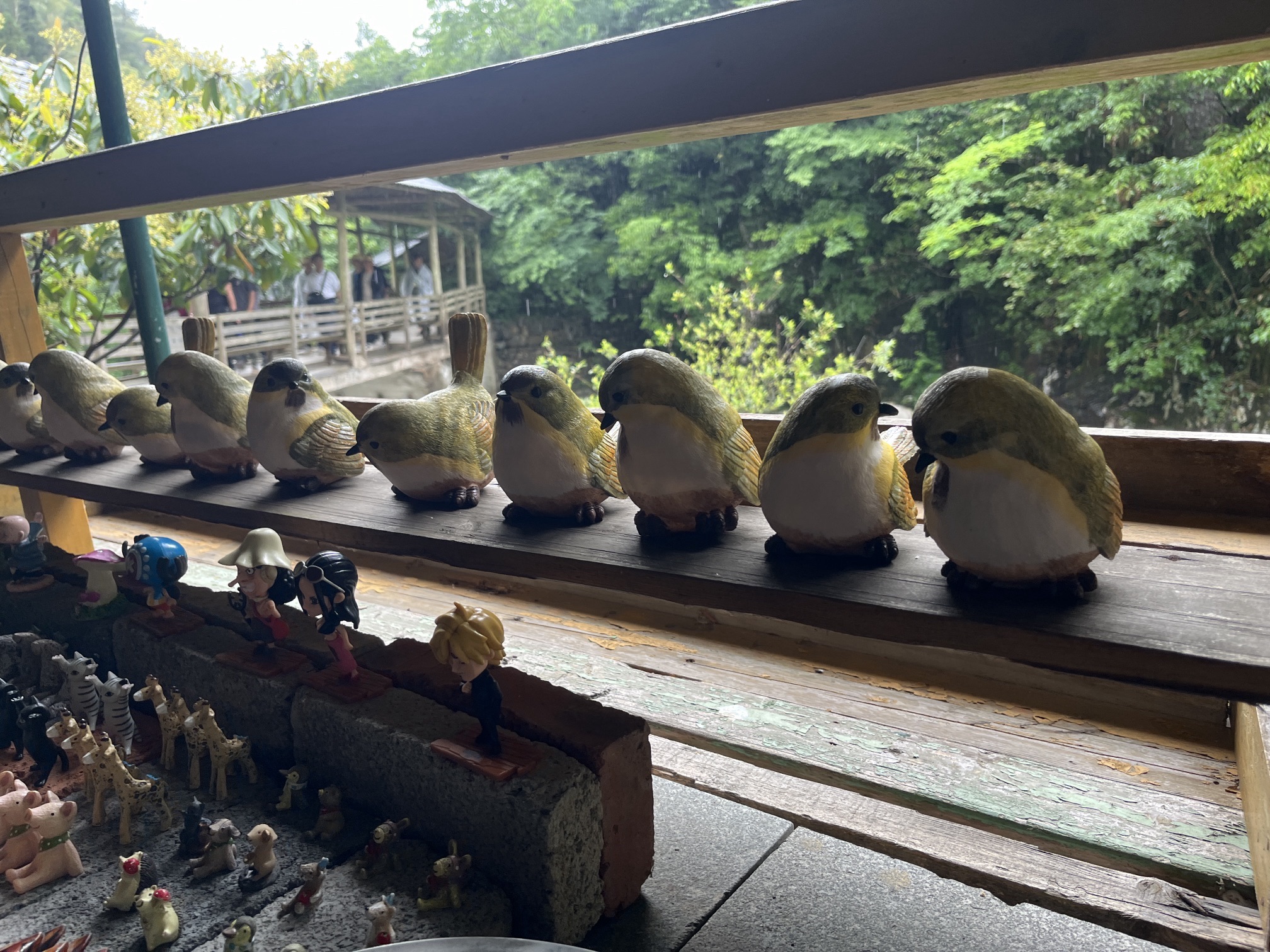 天目大峡谷旅行图片 2