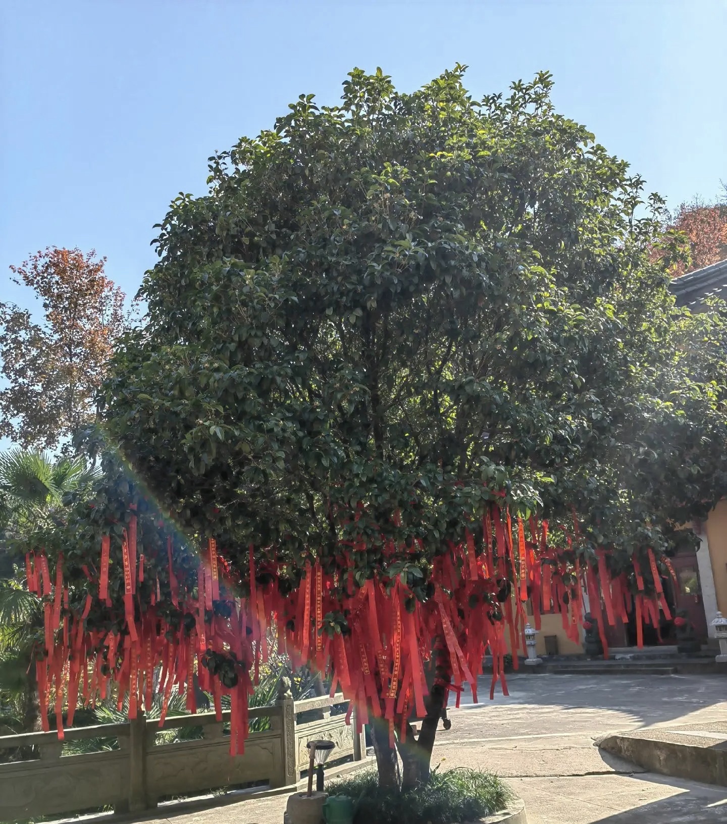 天钟山旅行图片 2