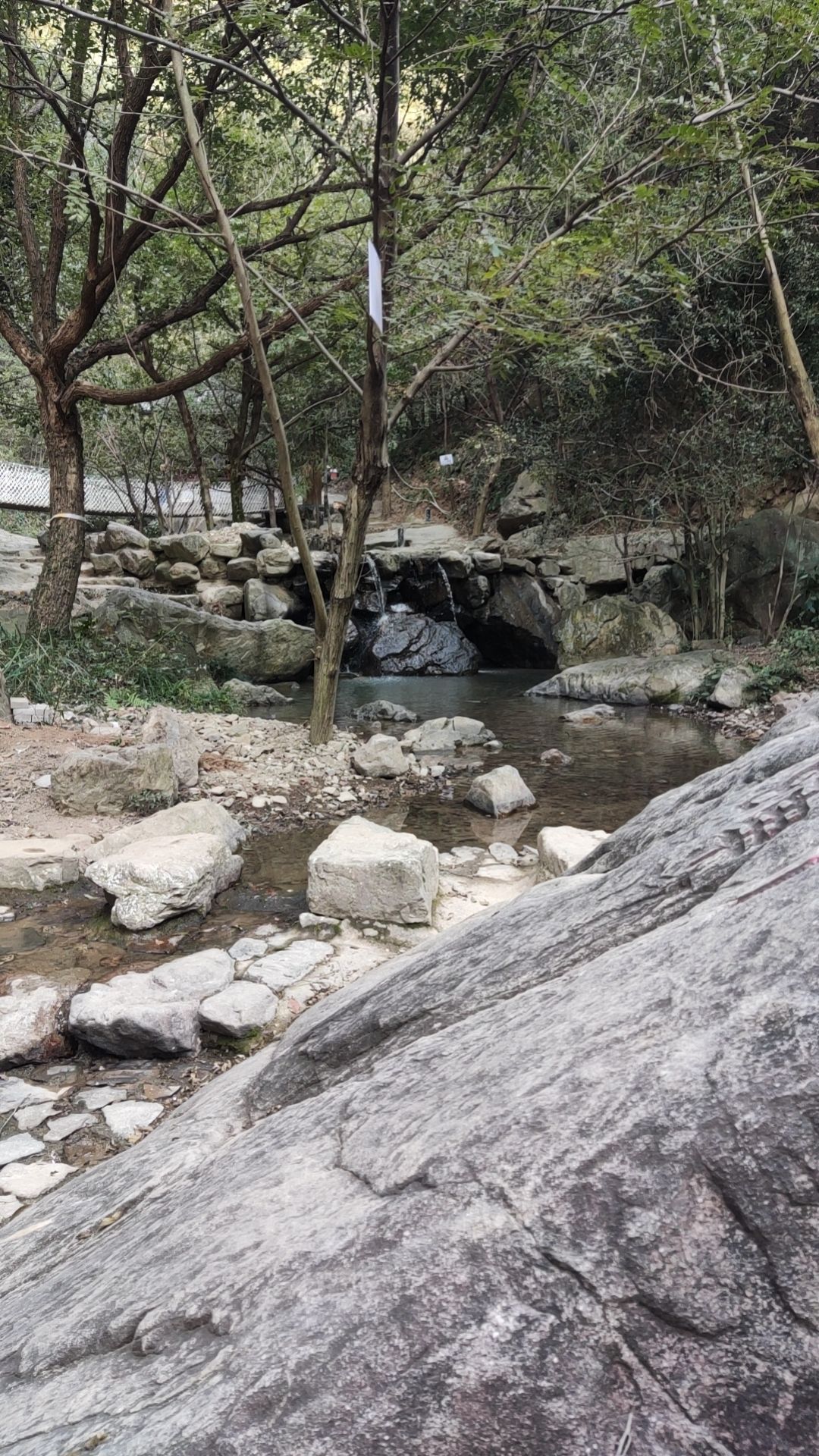 天钟山旅行图片 3