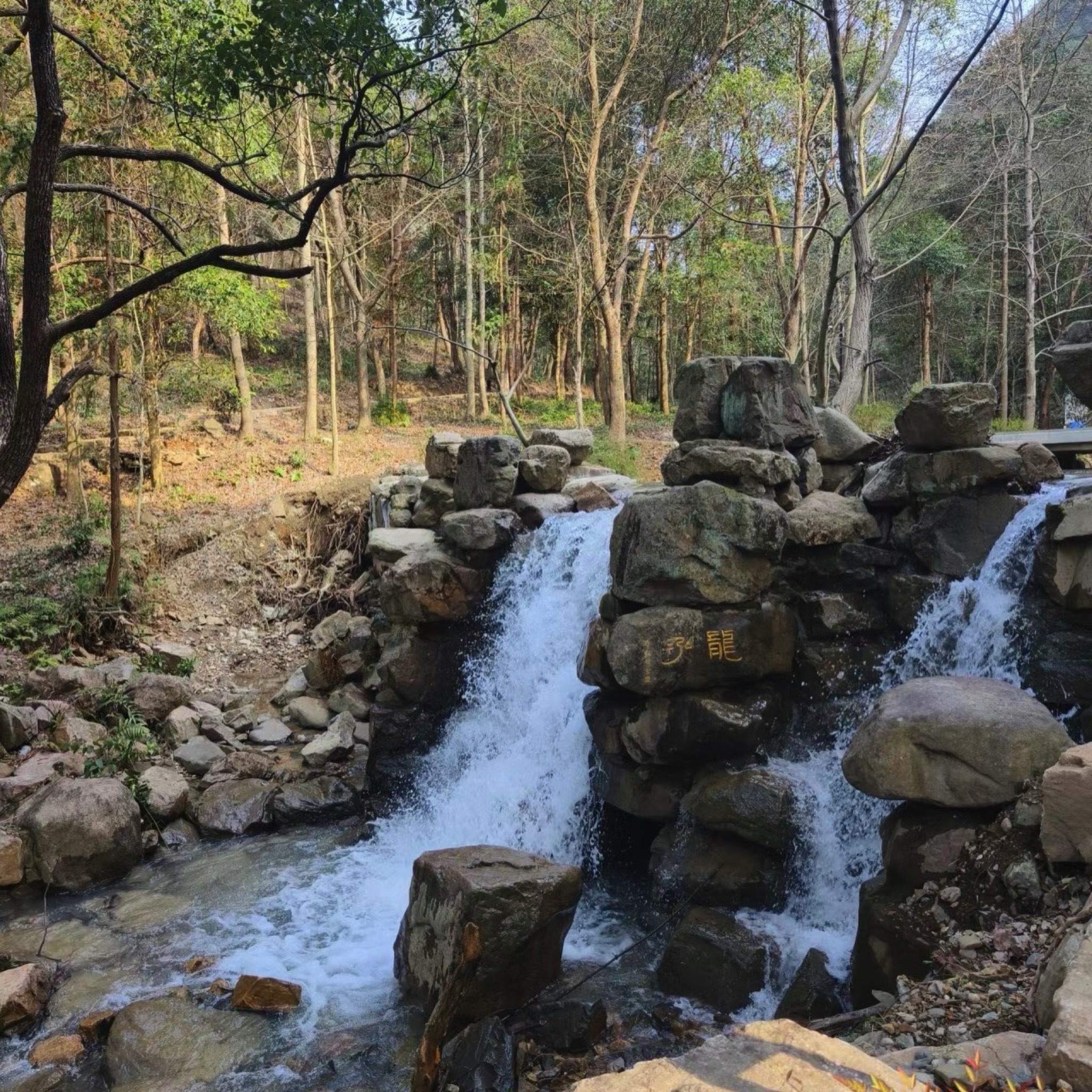天钟山旅行图片 3