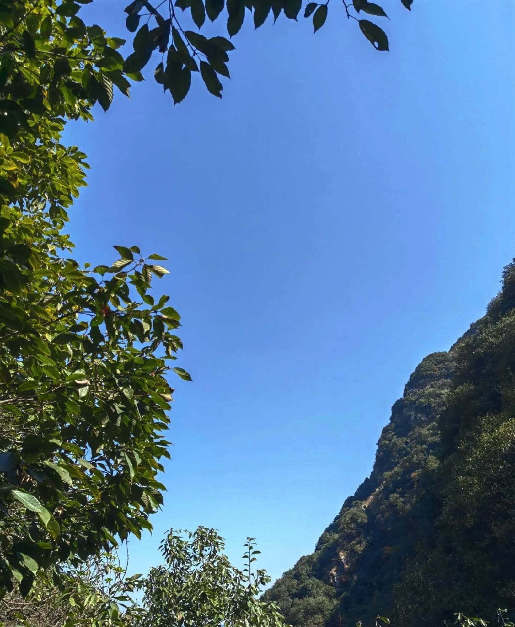 天钟山旅行图片 1