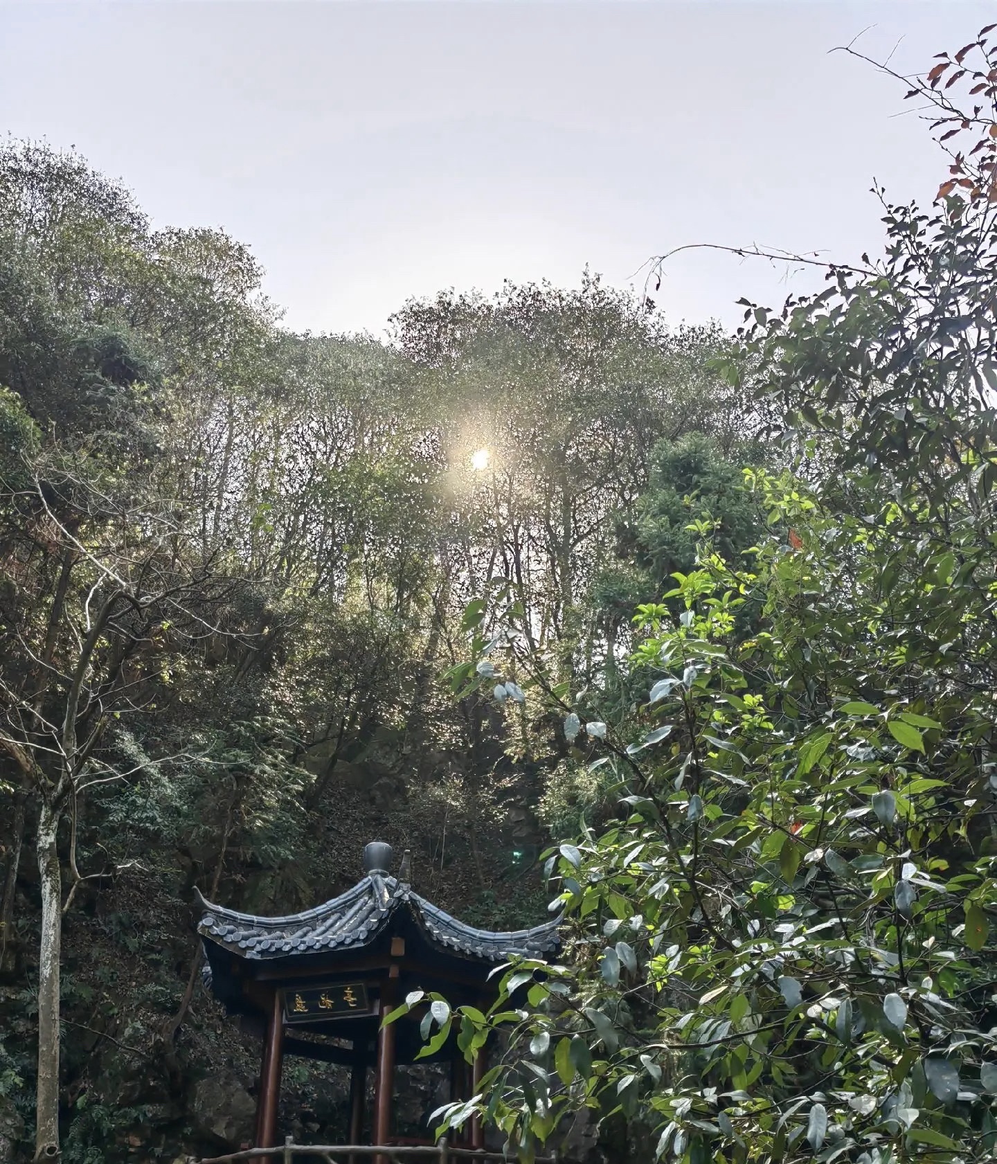 天钟山旅行图片 3
