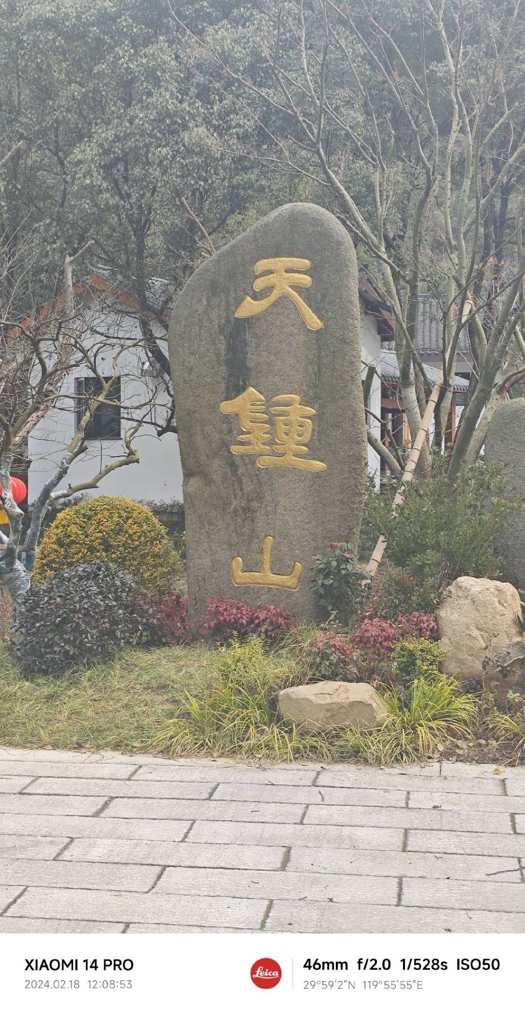 天钟山旅行图片 1