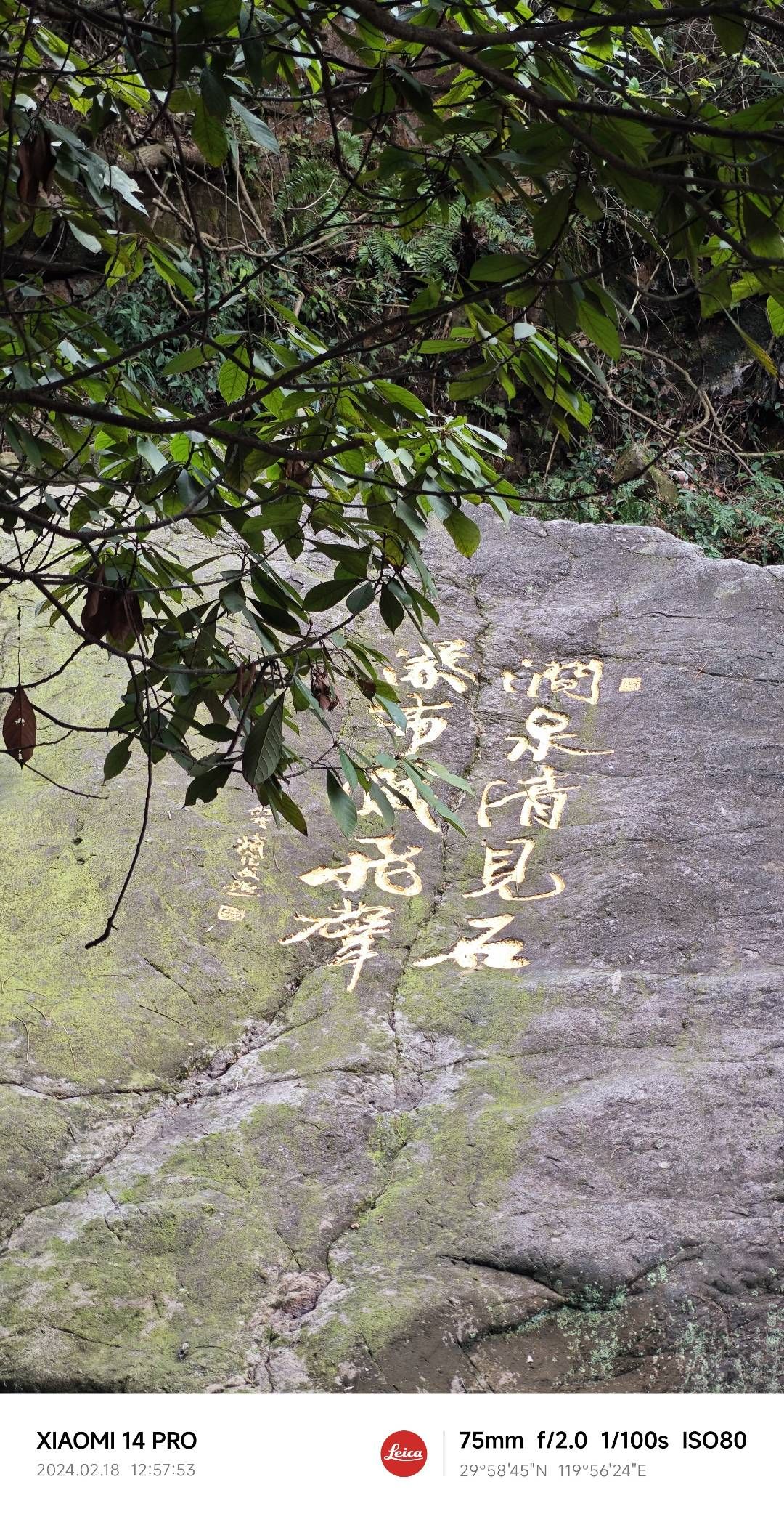 天钟山旅行图片 2
