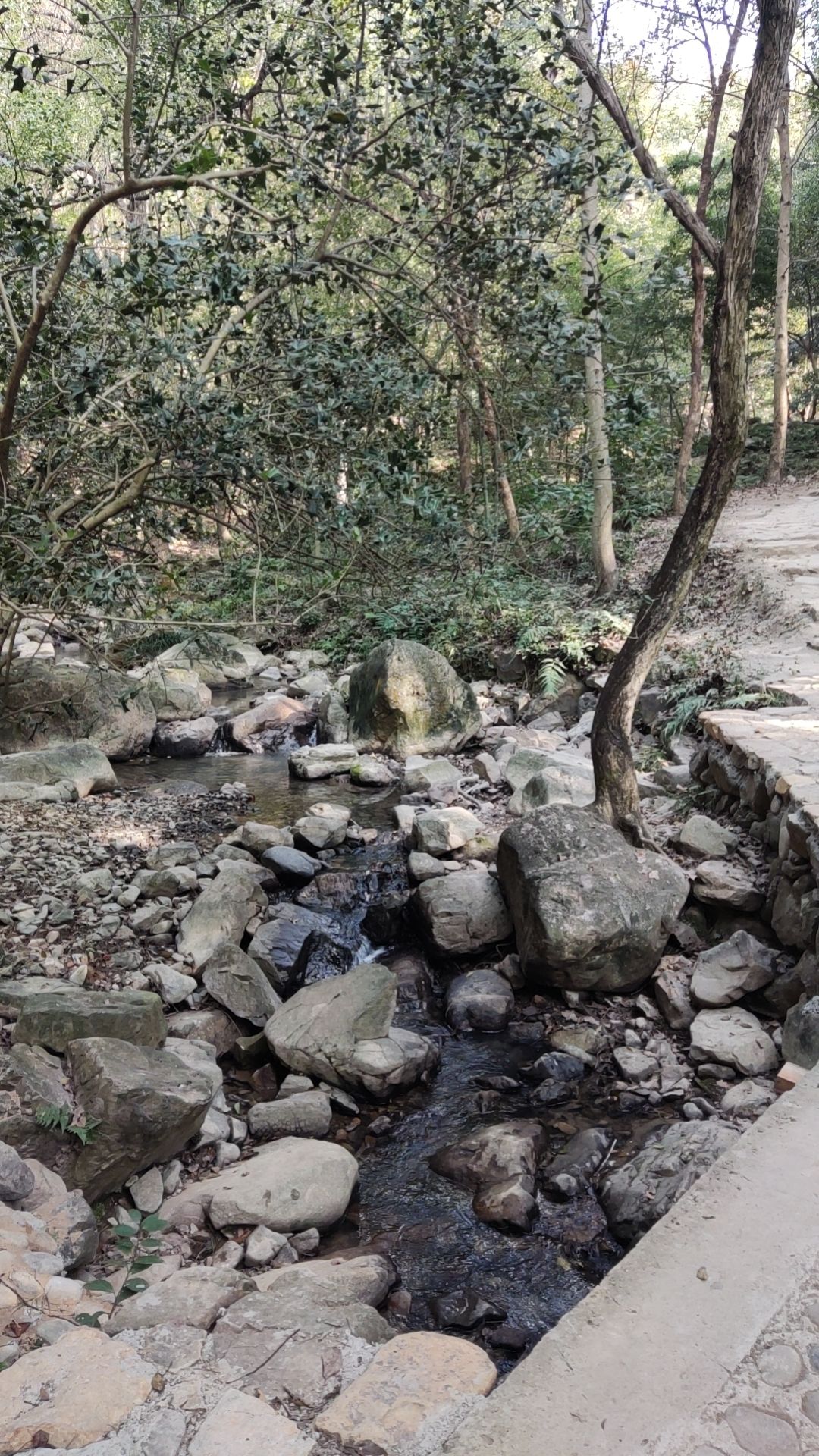 天钟山旅行图片 2