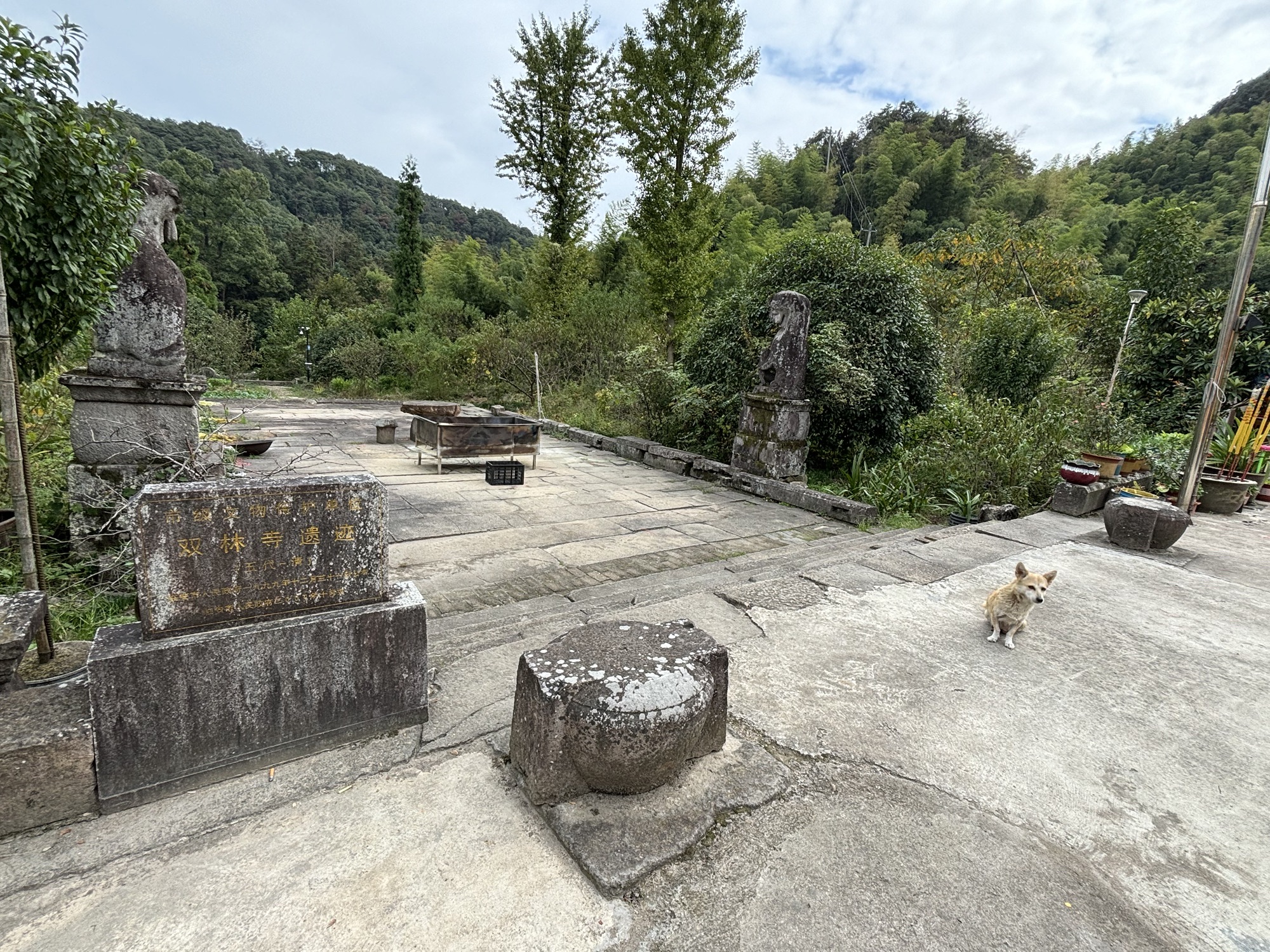 西径山风景区旅行图片 3