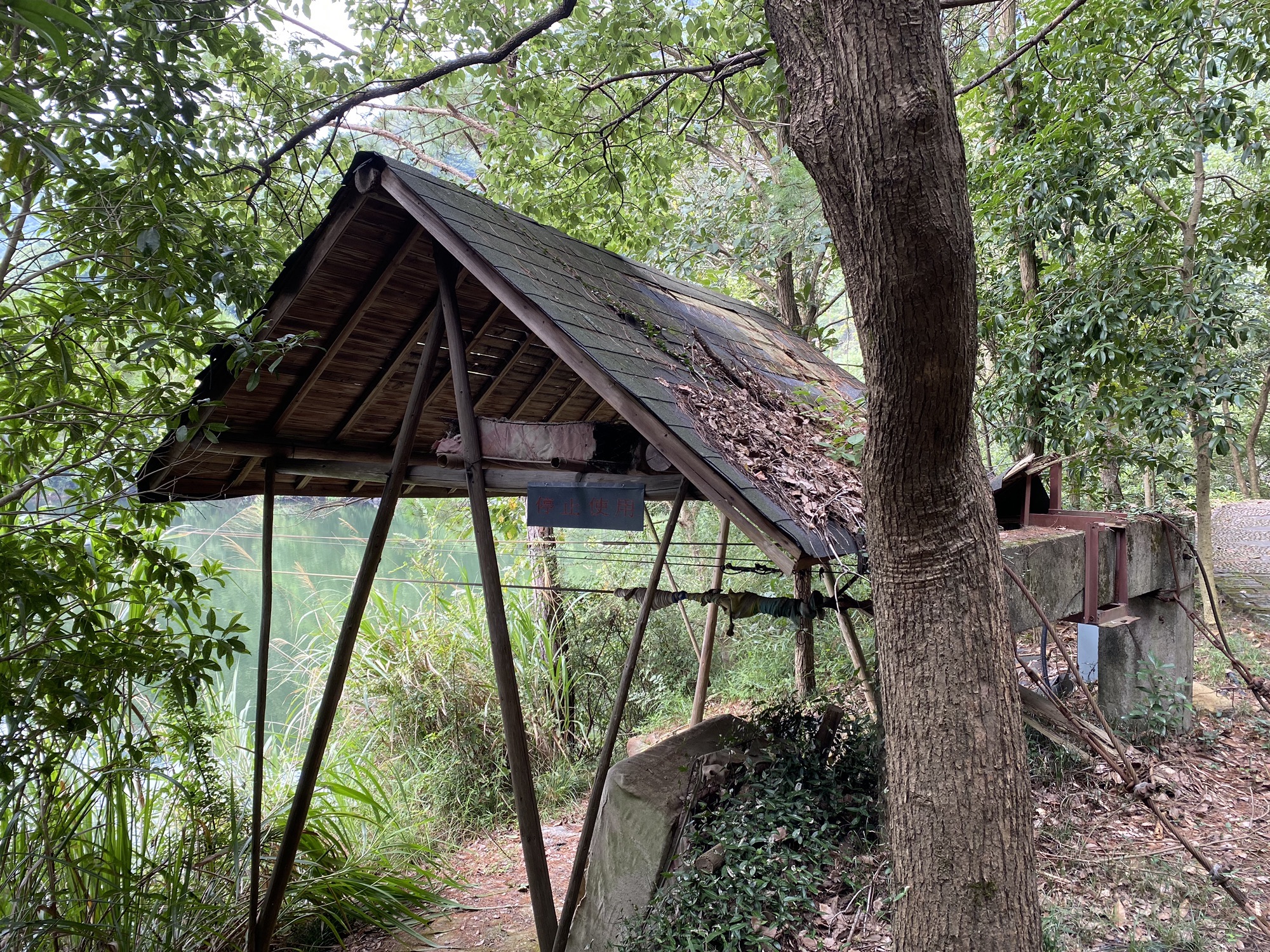 西径山风景区旅行图片 1