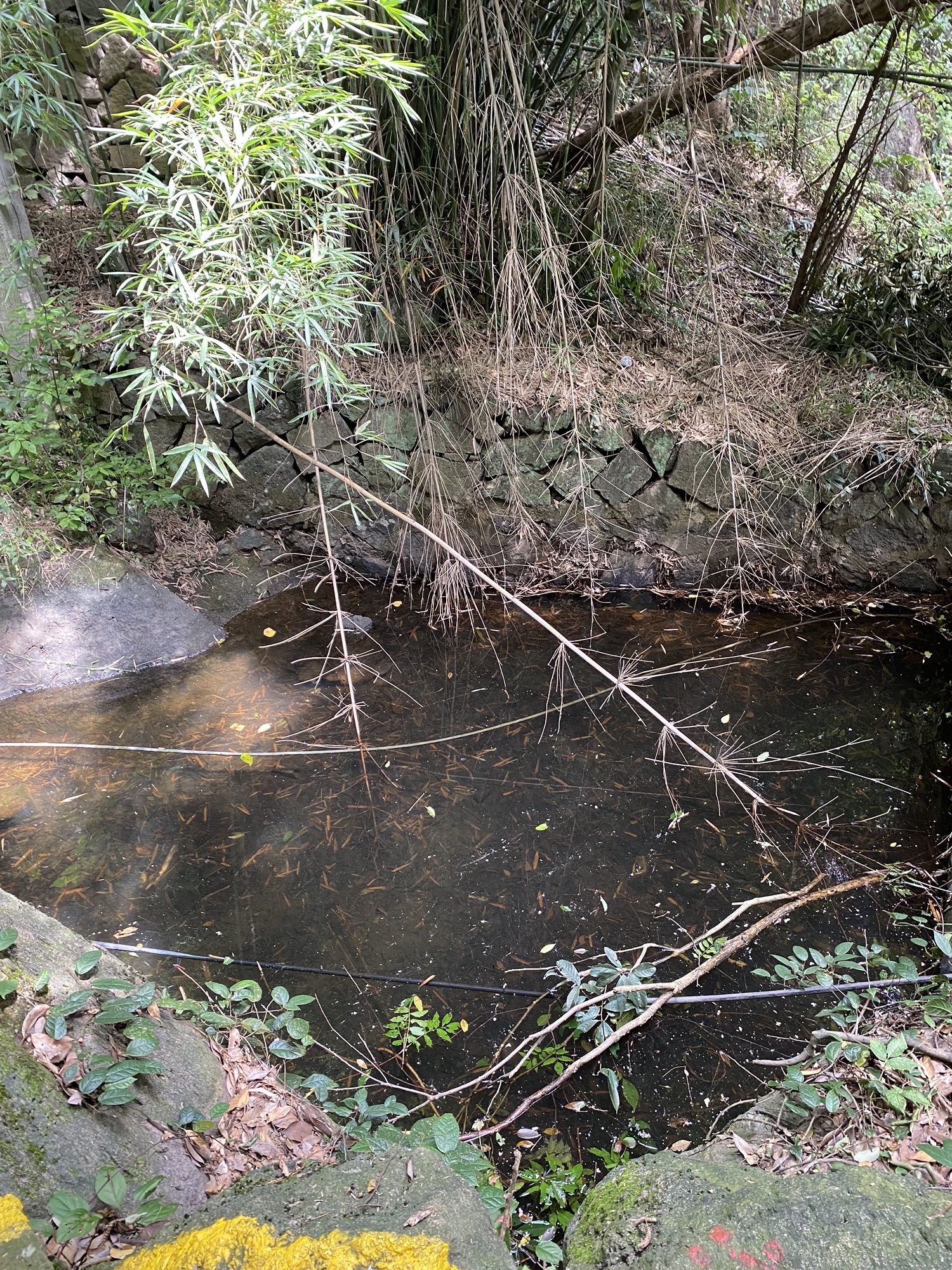 西径山风景区旅行图片 3