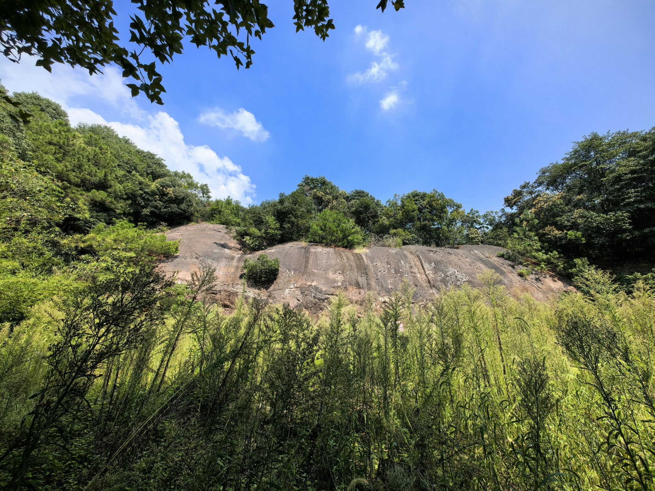 西径山风景区旅行图片 1