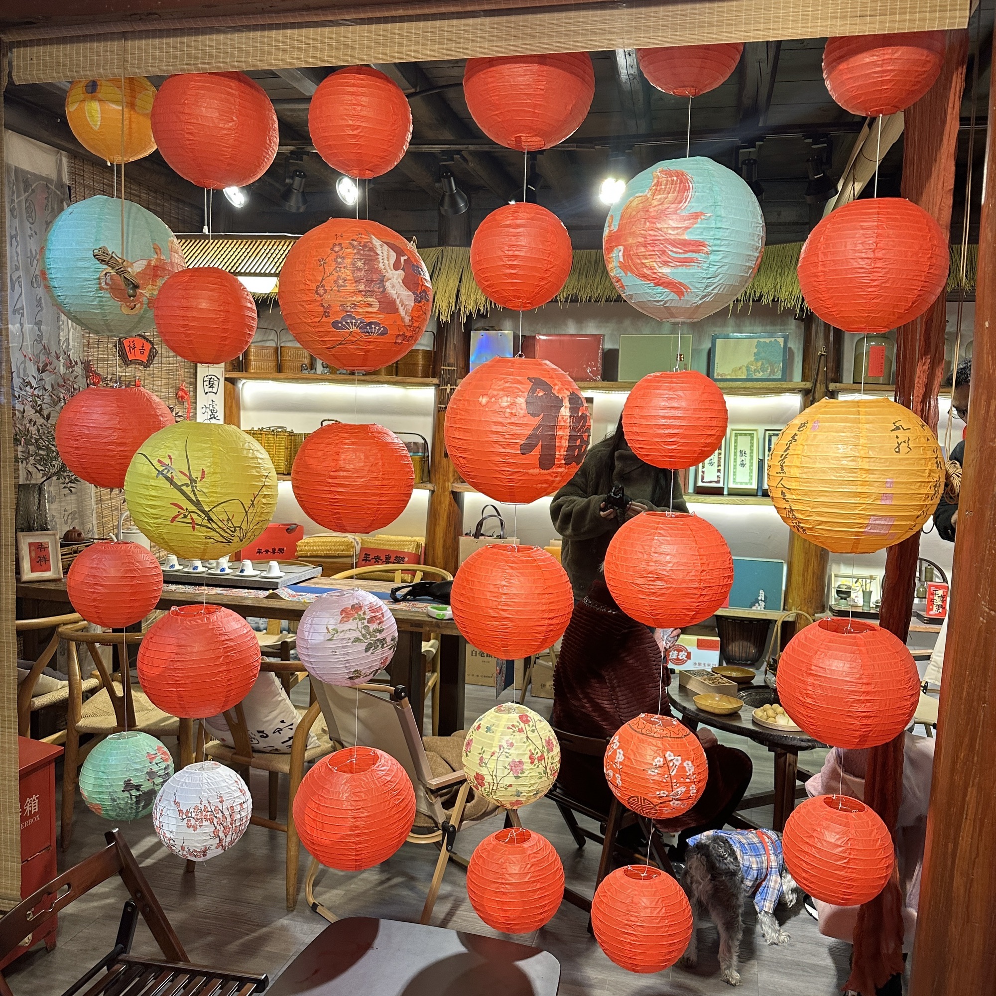 龙门古镇旅行图片 2
