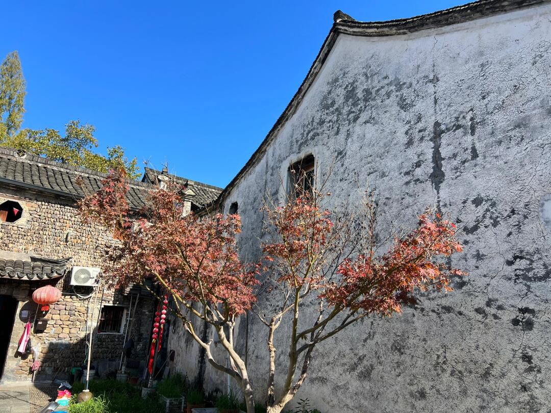 龙门古镇旅行图片 3