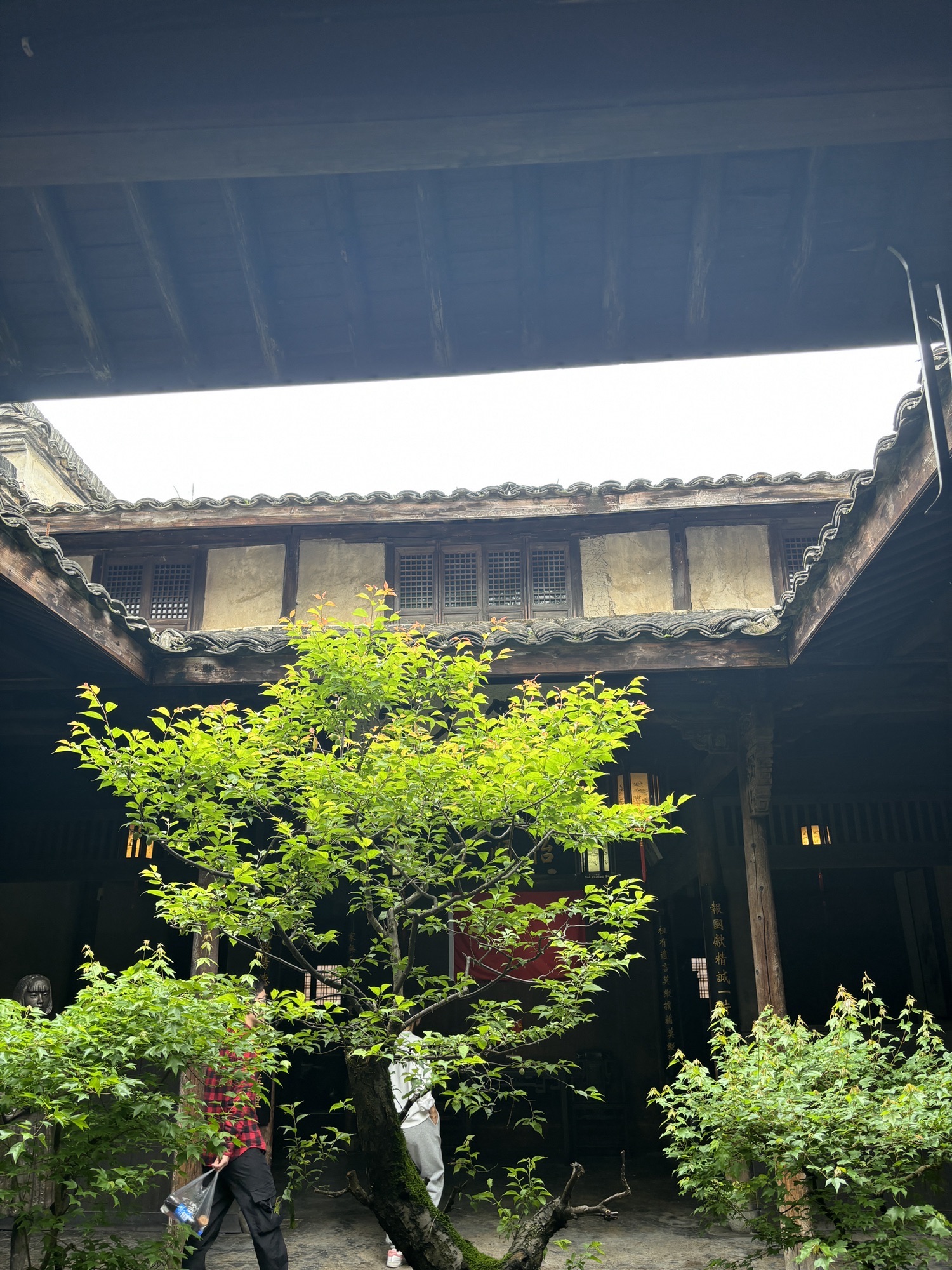 龙门古镇旅行图片 2