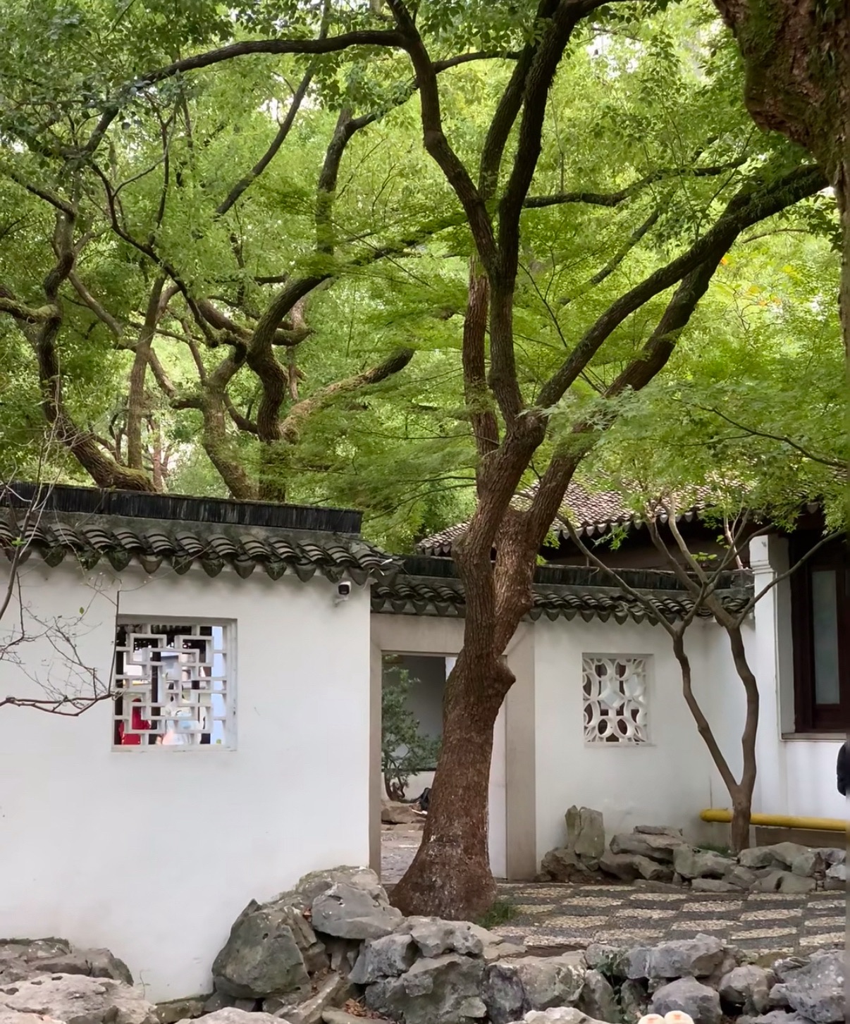 古苑公园
