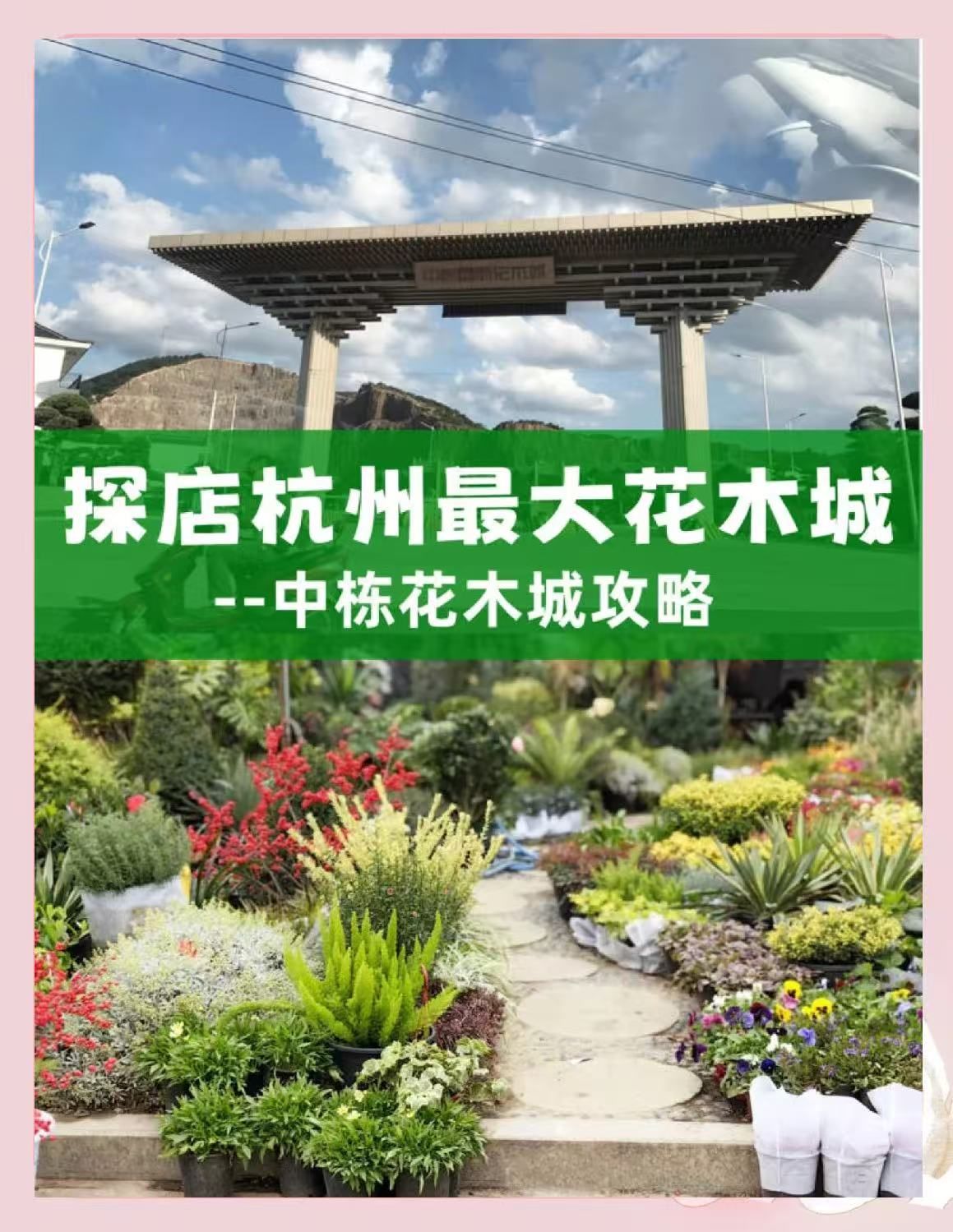 浙江(中国)花木城
