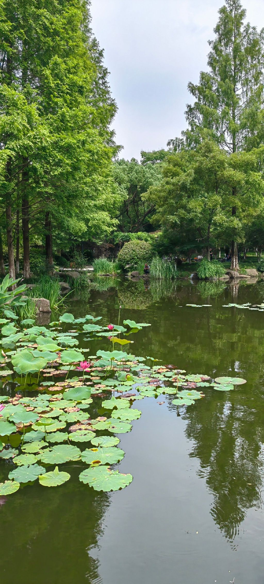 城东公园旅行图片 2