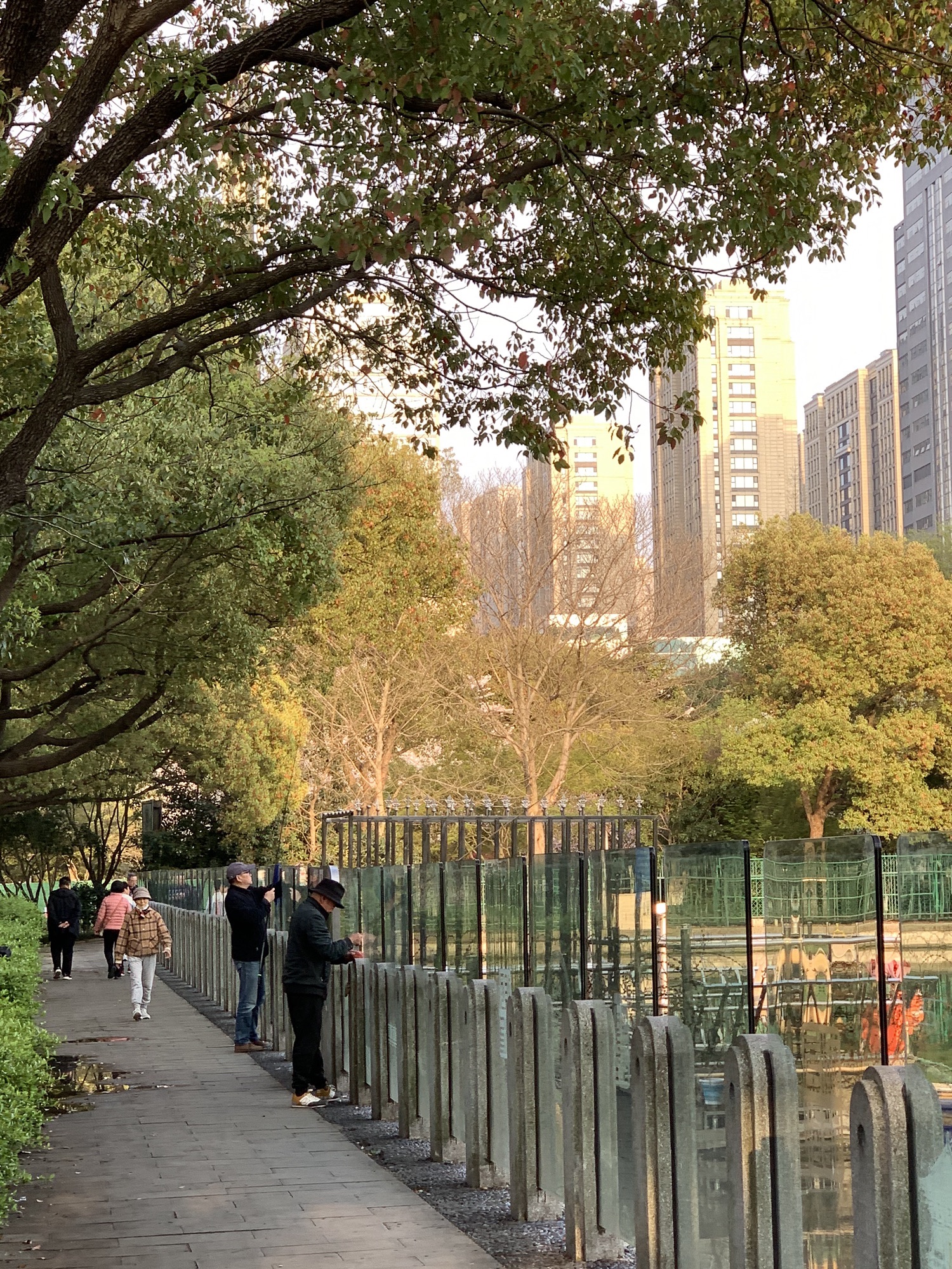城东公园旅行图片 2