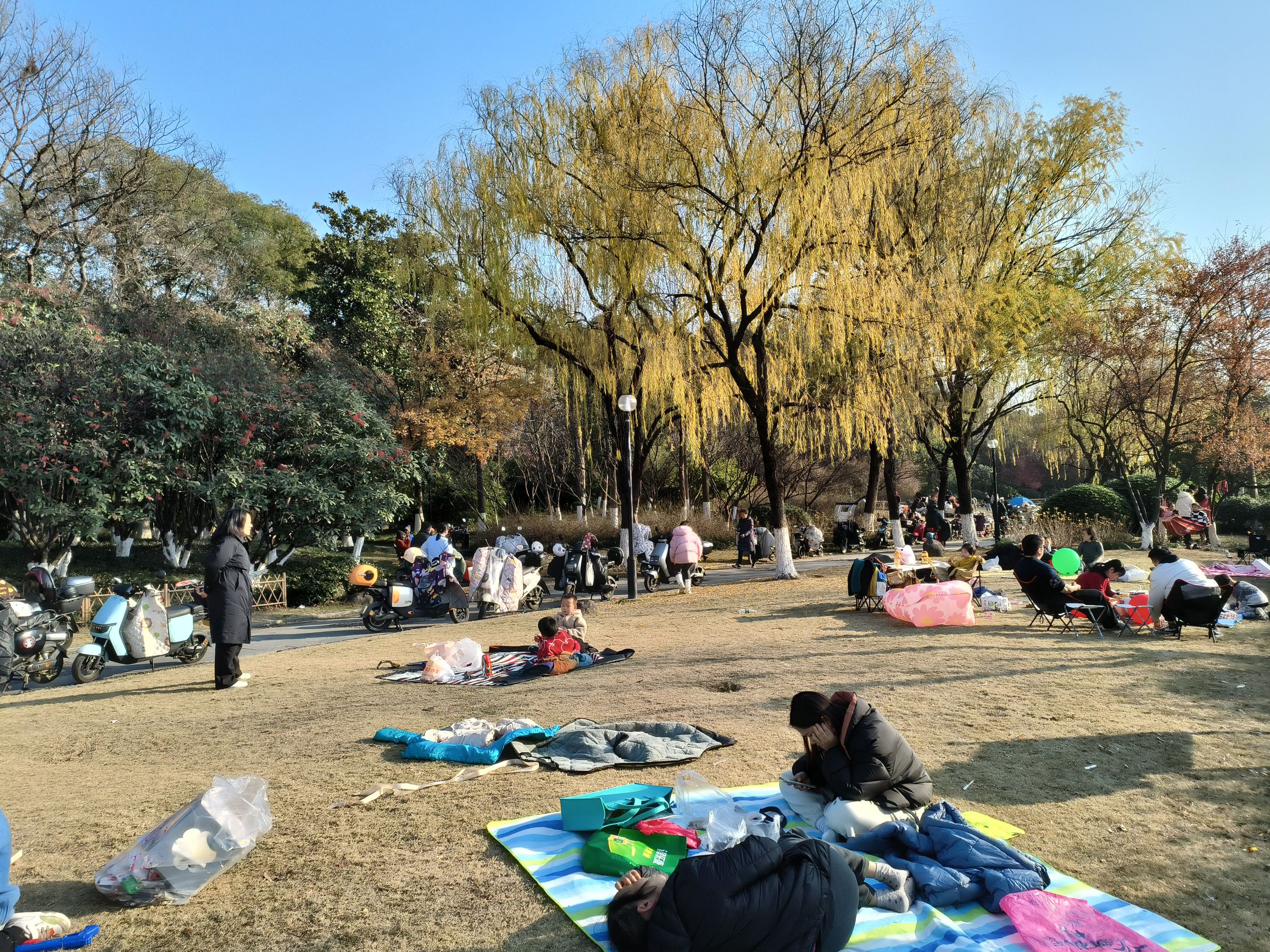 城东公园旅行图片 2