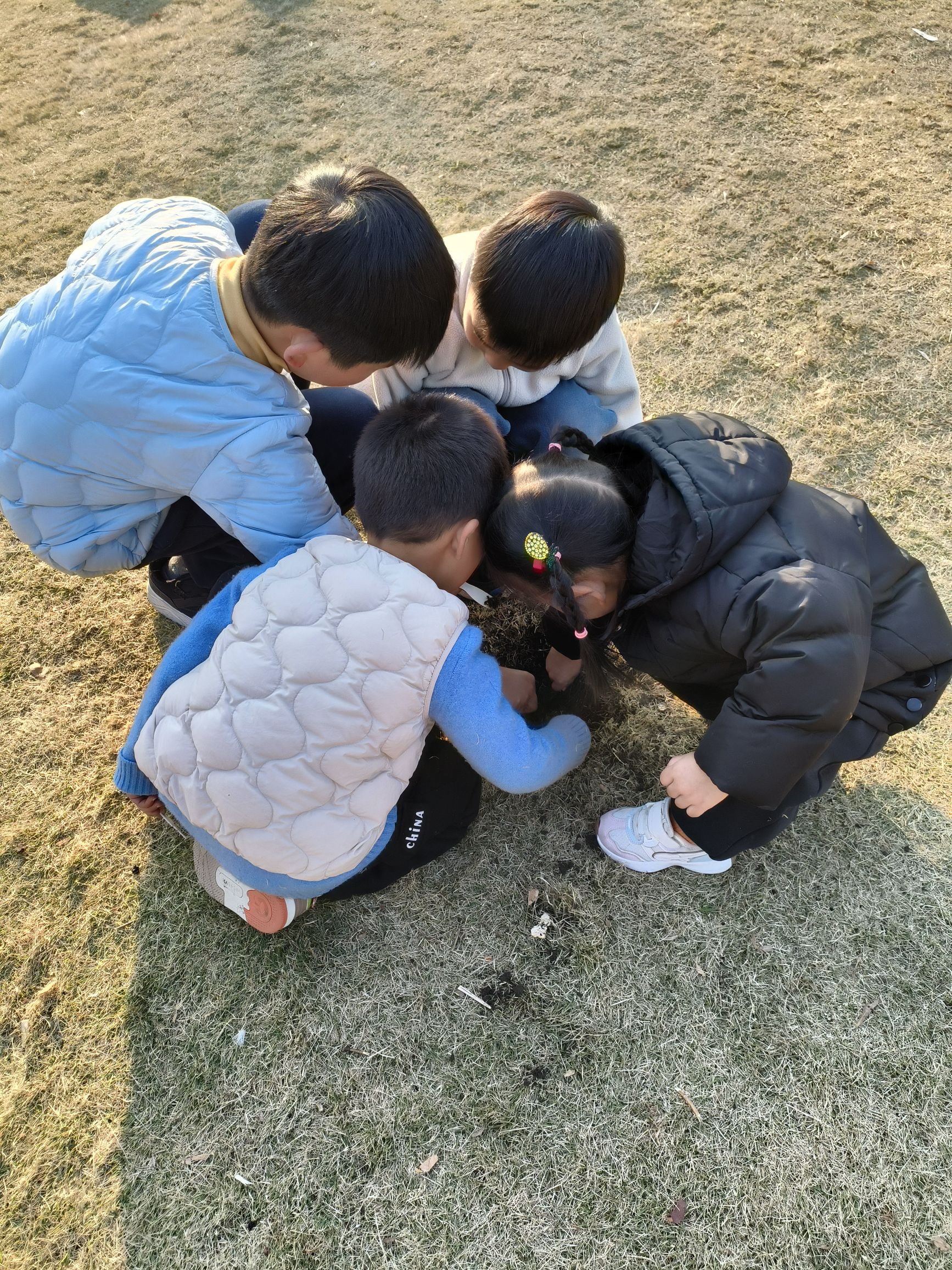城东公园旅行图片 3
