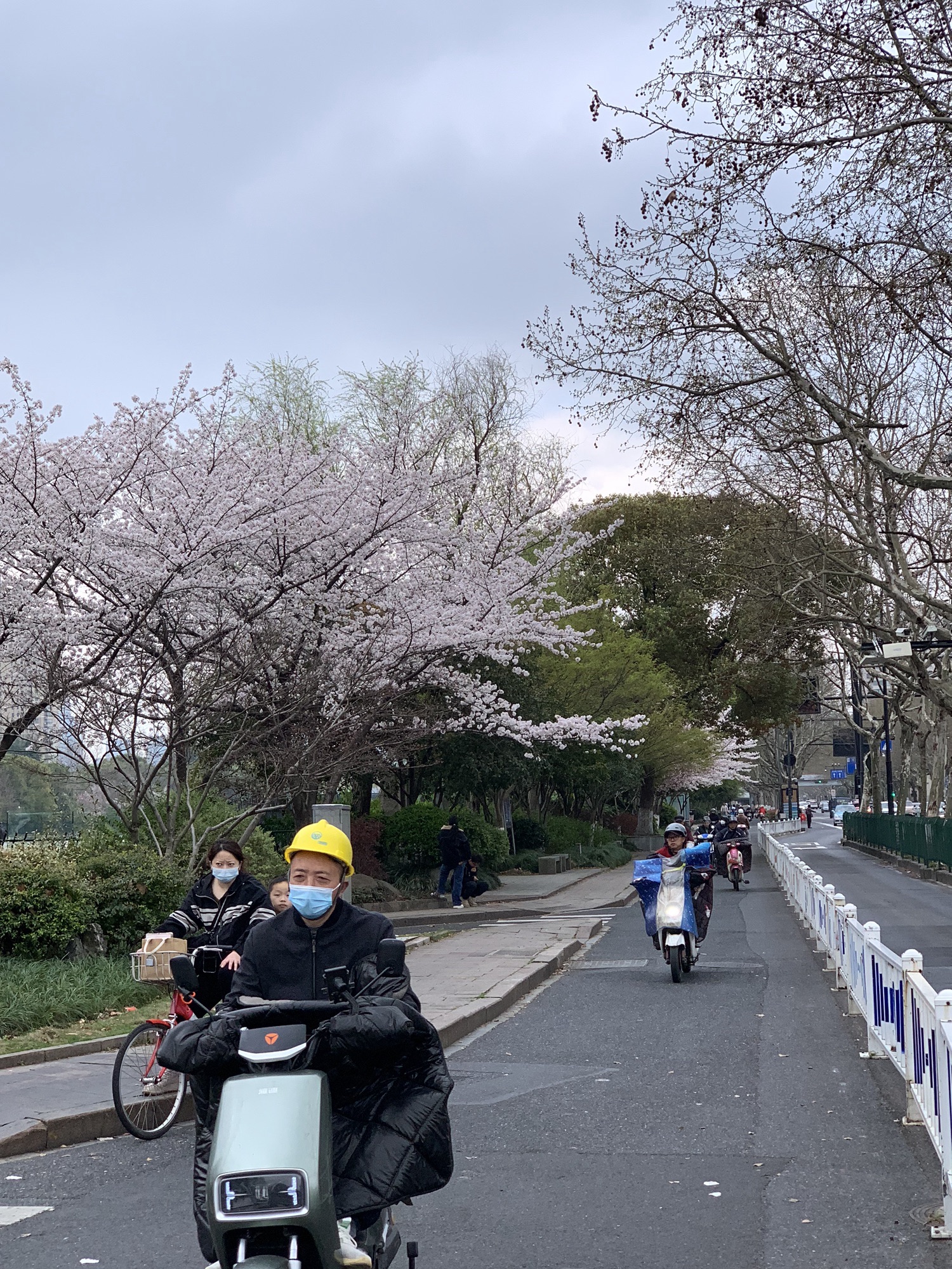 城东公园旅行图片 3