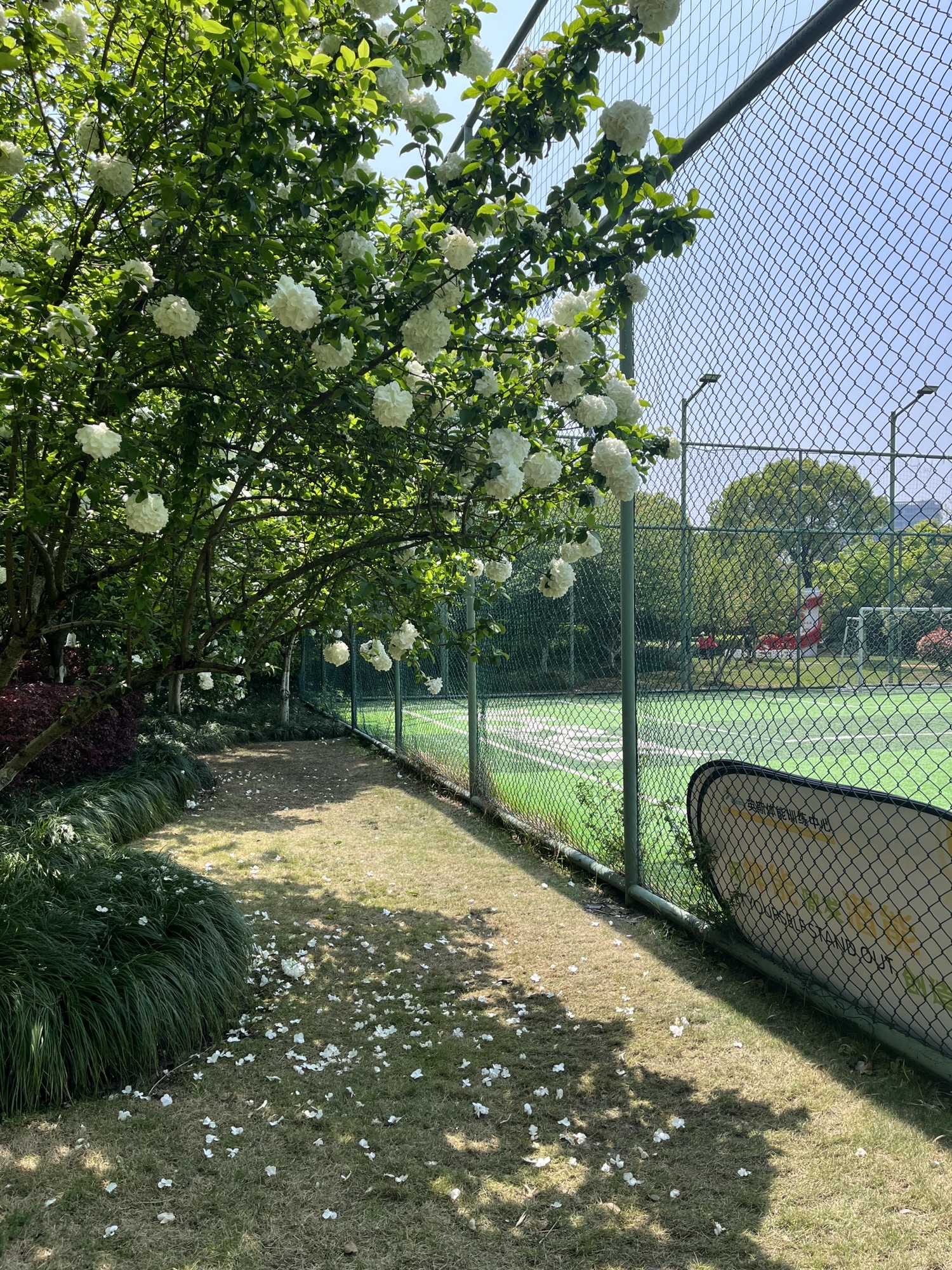 杭州城北体育公园旅行图片 3