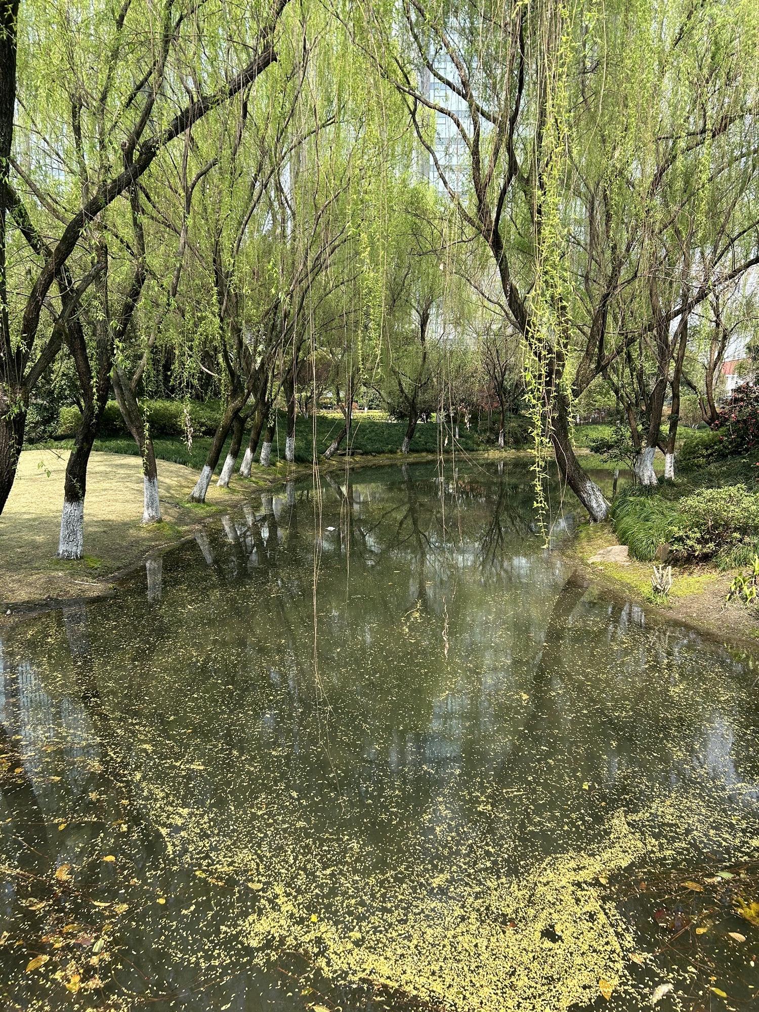 杭州城北体育公园旅行图片 2