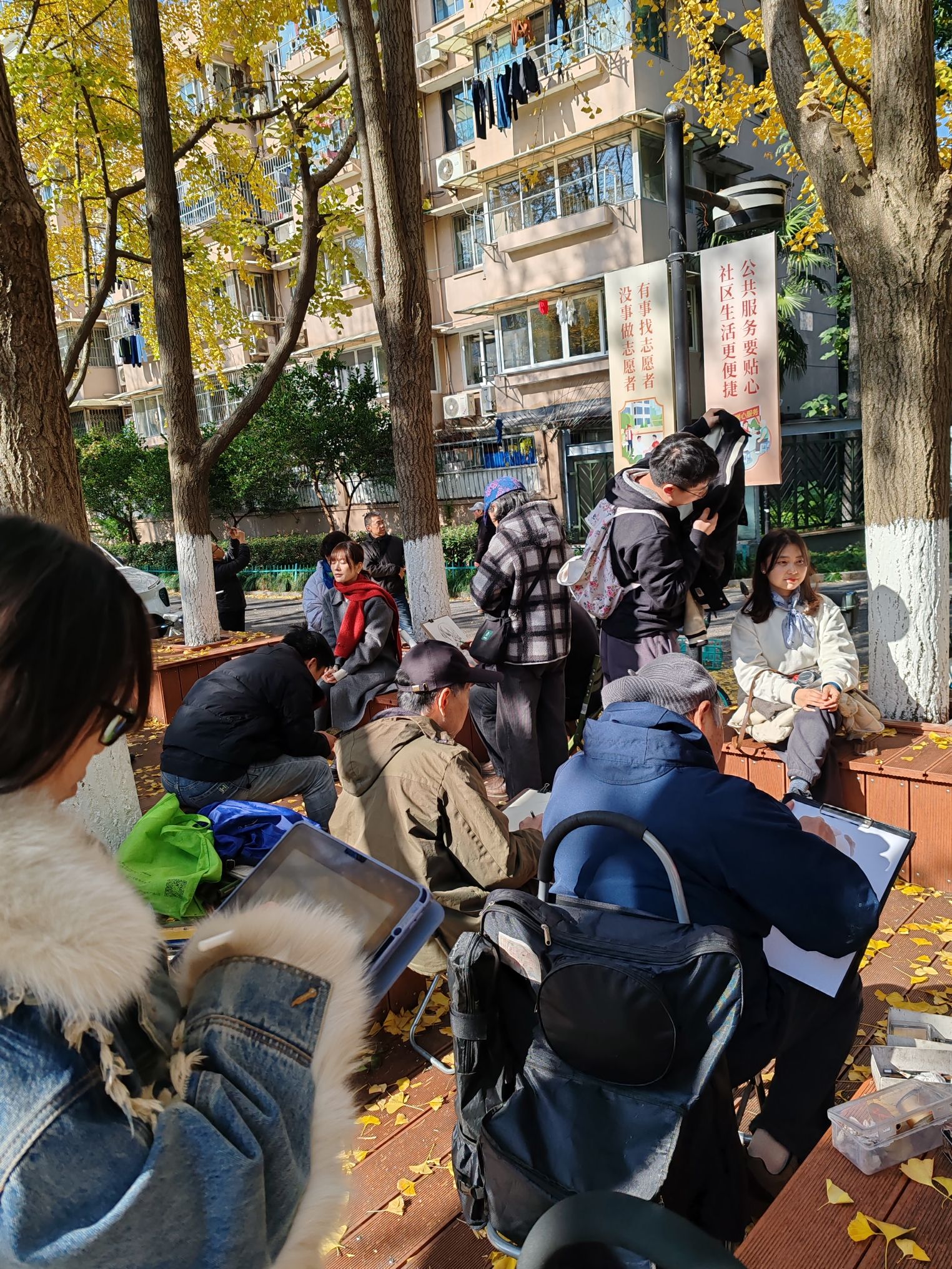 朝晖文化公园旅行图片 1