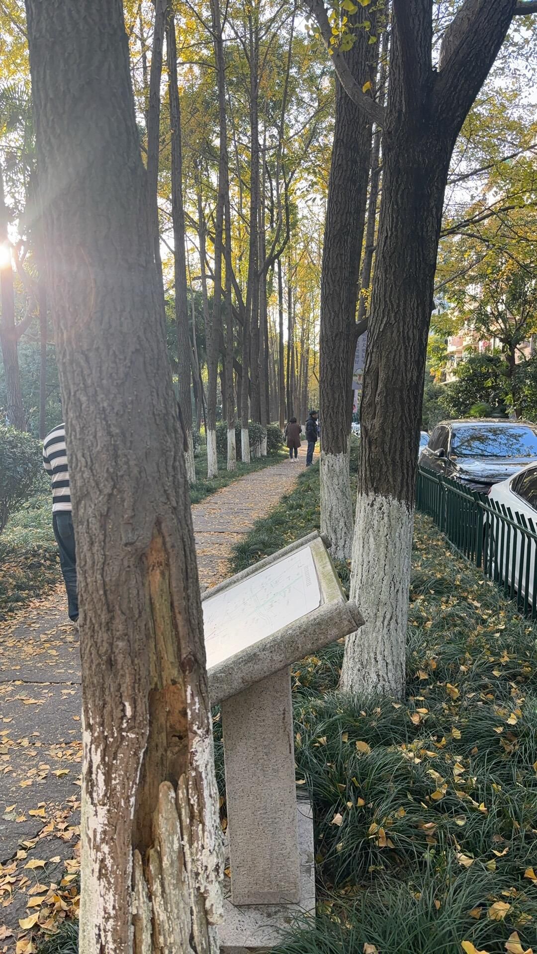 朝晖文化公园旅行图片 3