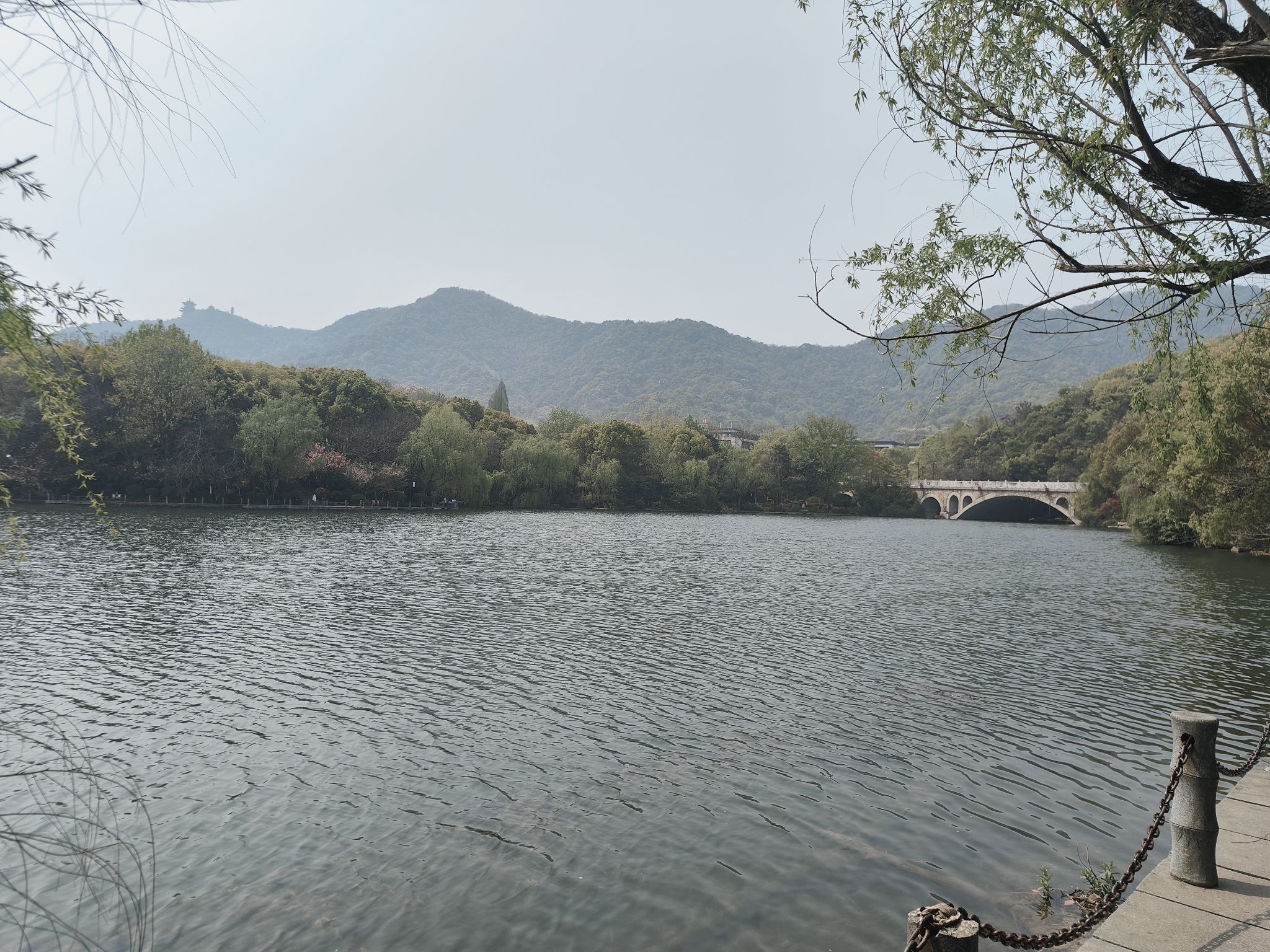 虎山公园旅行图片 2