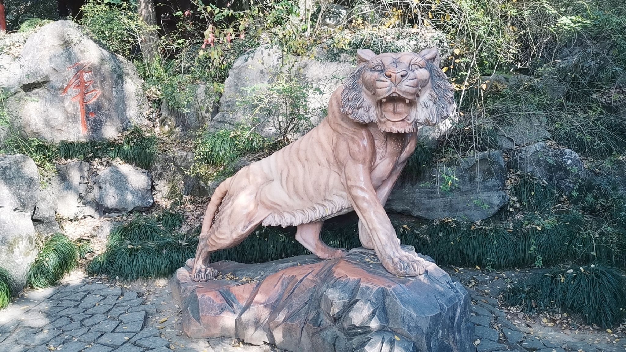 虎山公园旅行图片 1
