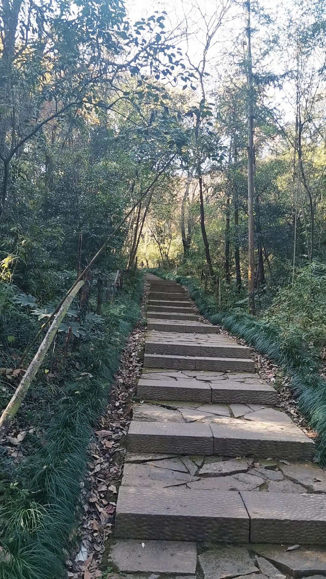 虎山公园旅行图片 3
