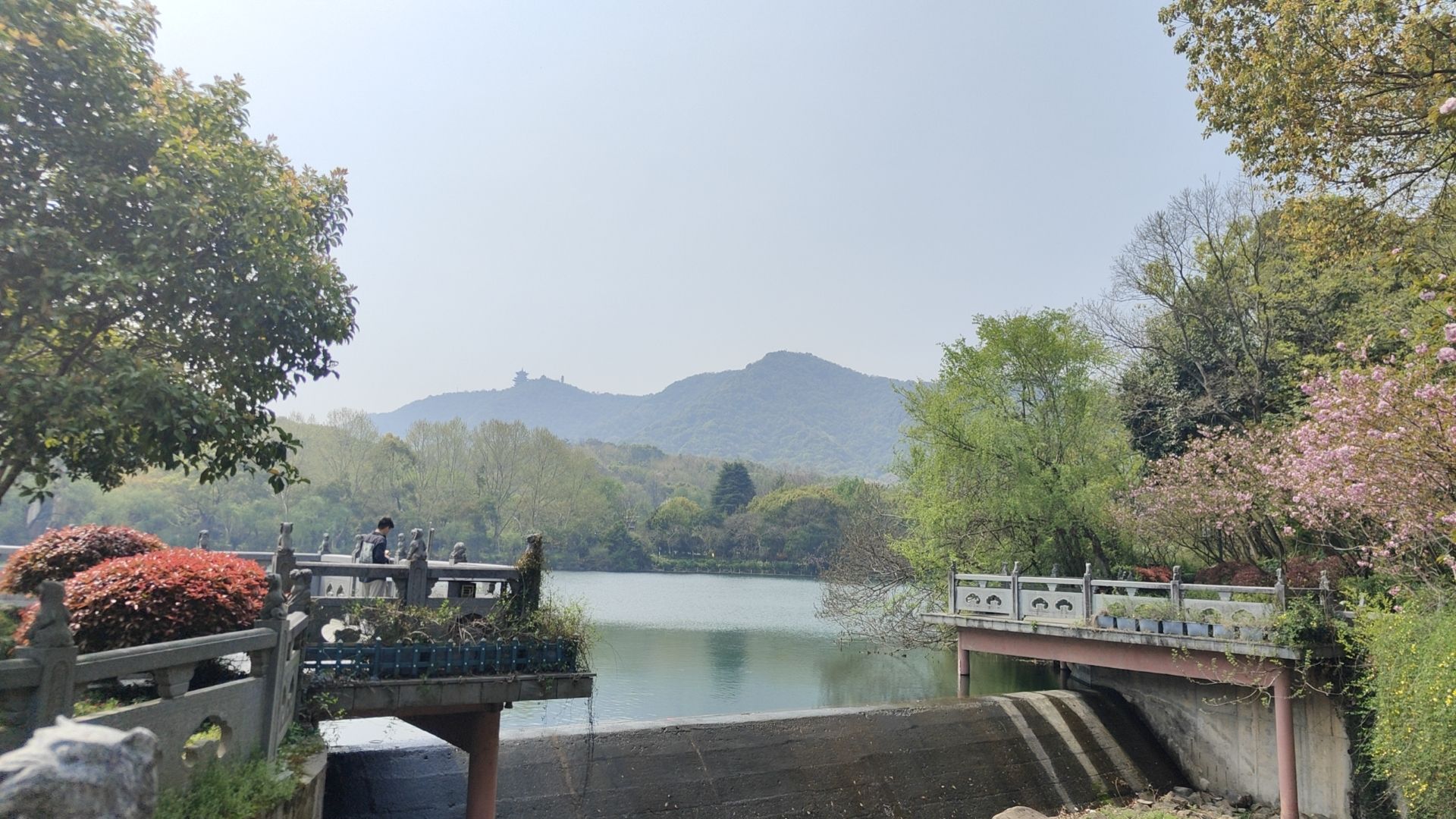 虎山公园旅行图片 1