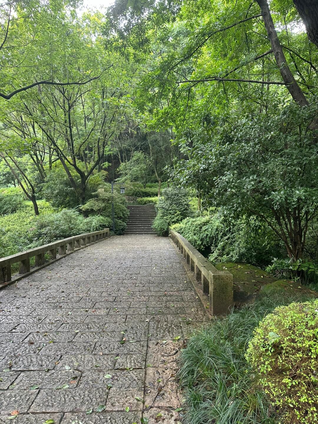 虎山公园旅行图片 2