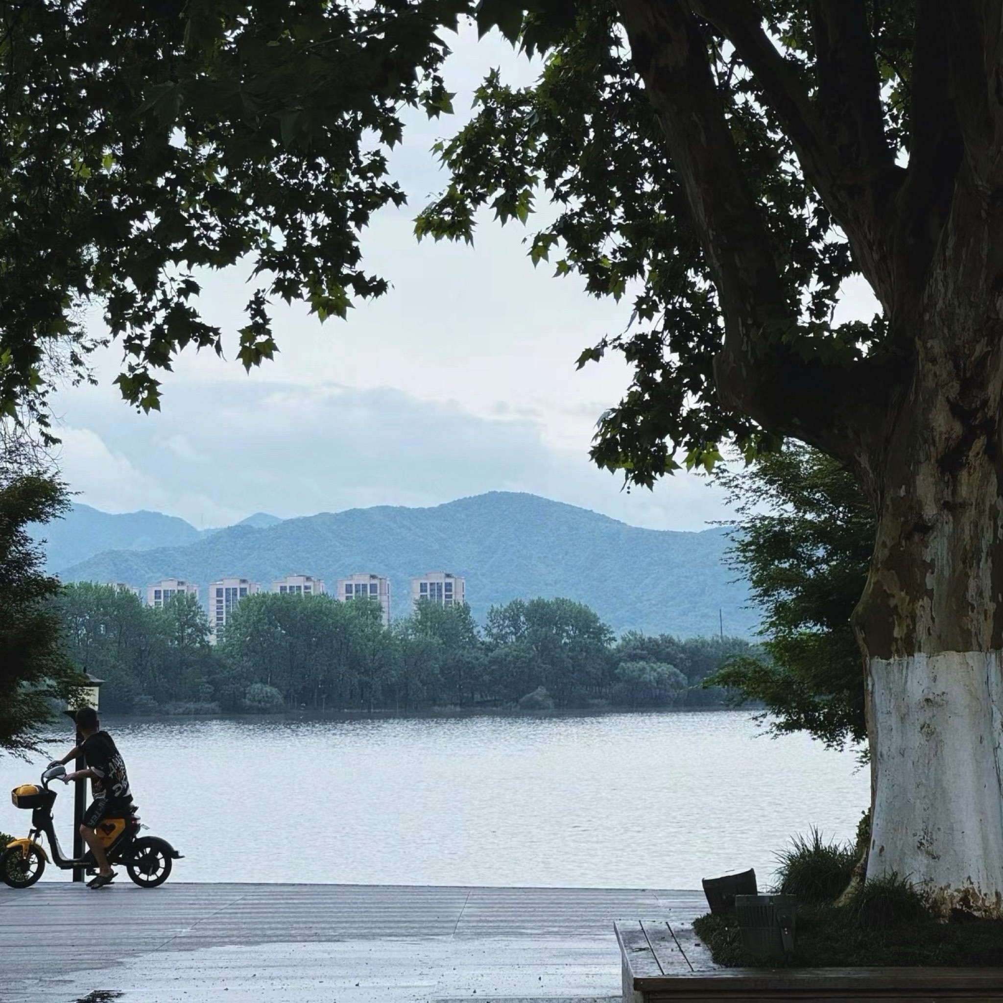 郁达夫公园旅行图片 1