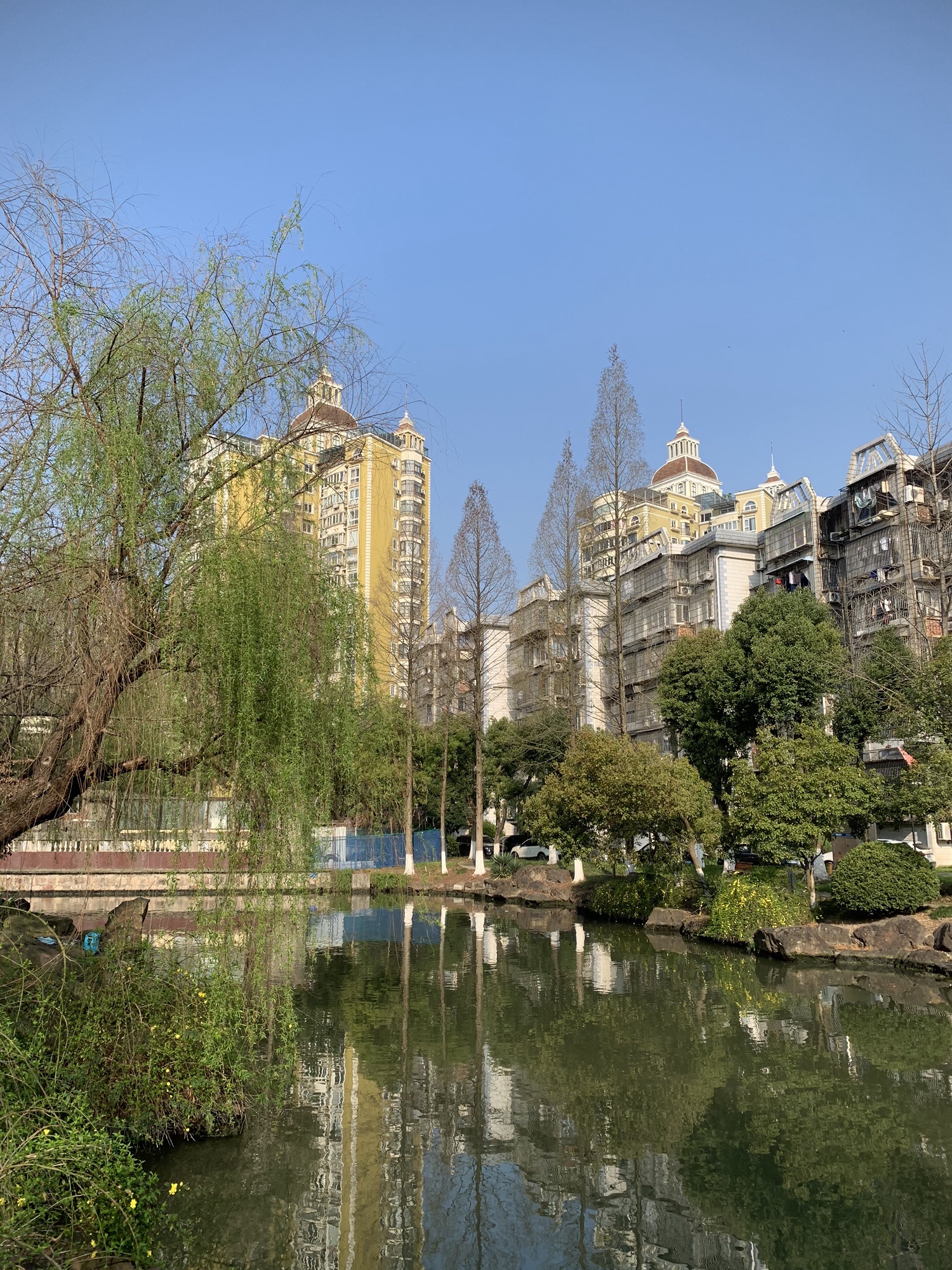 时代公园旅行图片 2